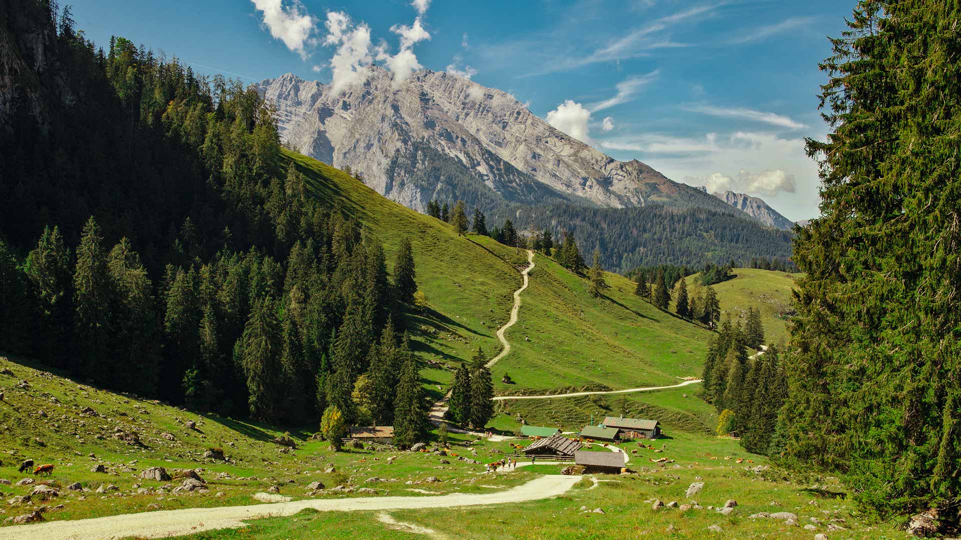 Berchtesgadener Land National Park, Alps, Germany