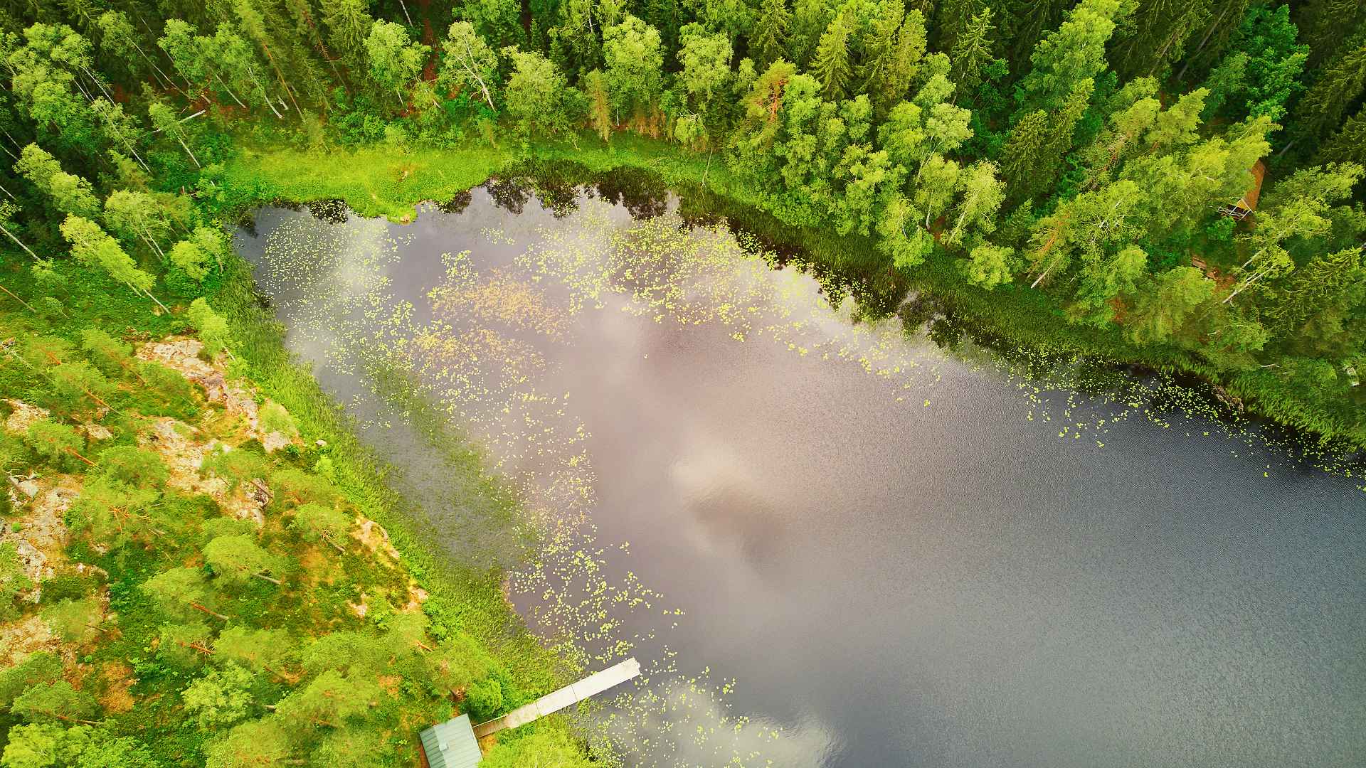 Forest and lake scenery from above Helgträsk in Sipoonkorpi National Park, Finland