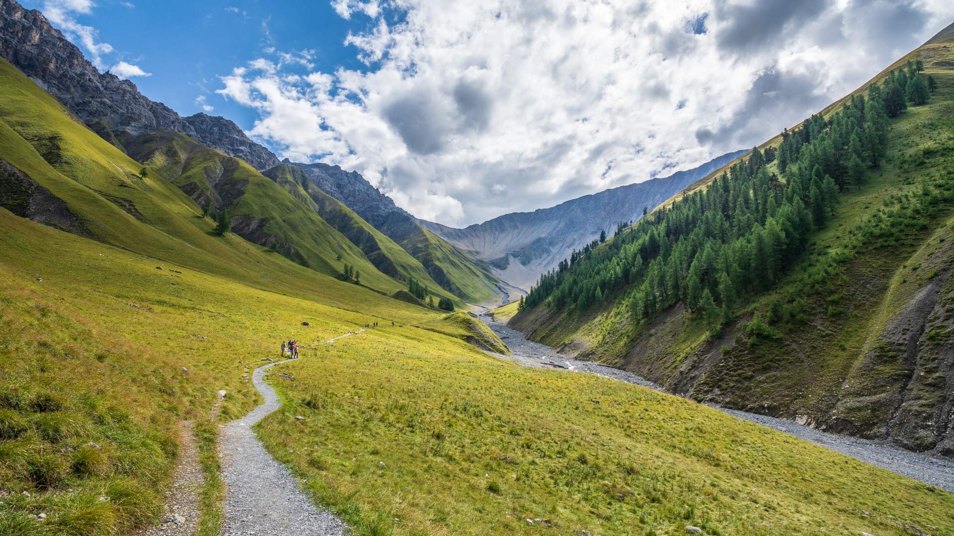 Alp Trupchun in the Engadin valley, Switzerland