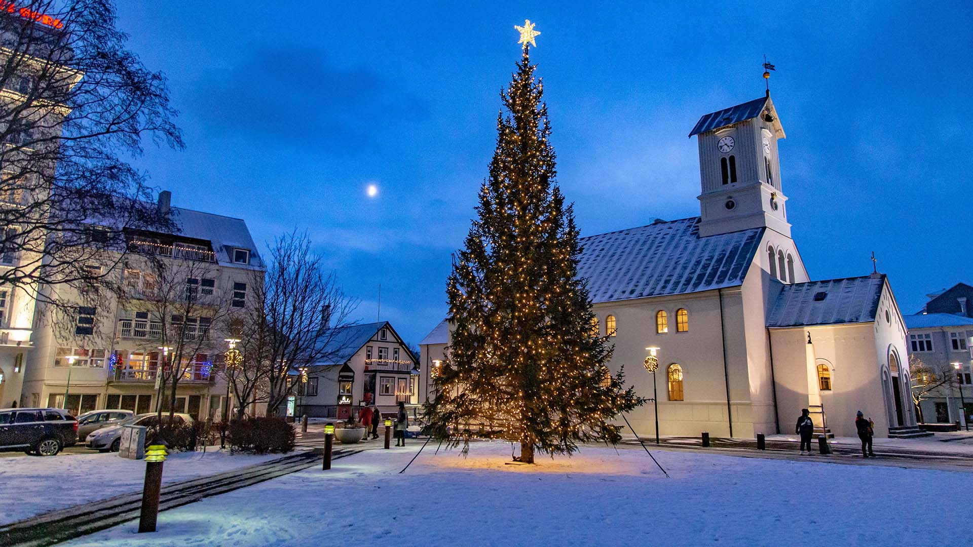 Christmas tree in Austurvollur, Iceland