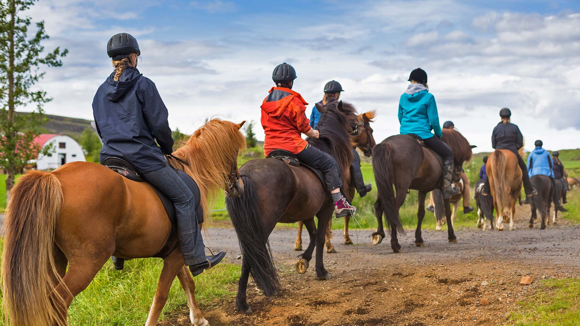 Horseback riding in Iceland