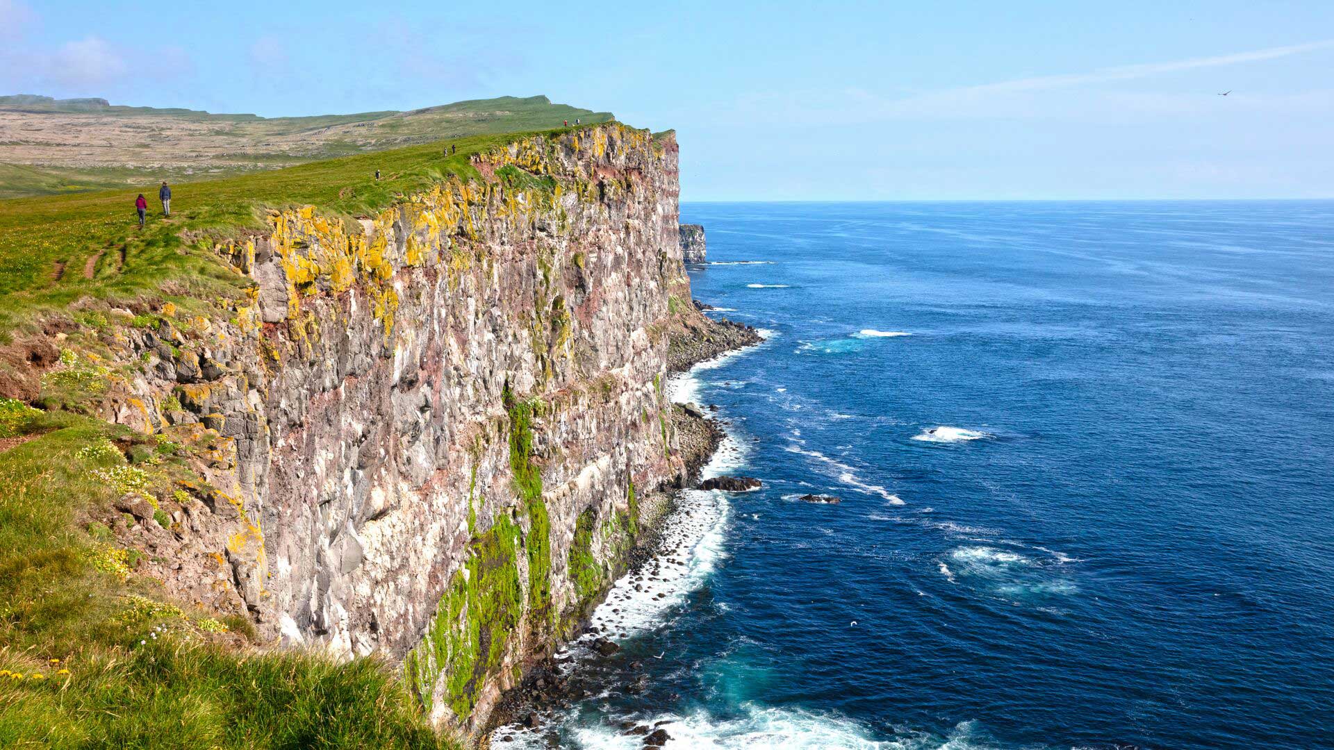 Latrabjarg cliffs on a bright sunny day