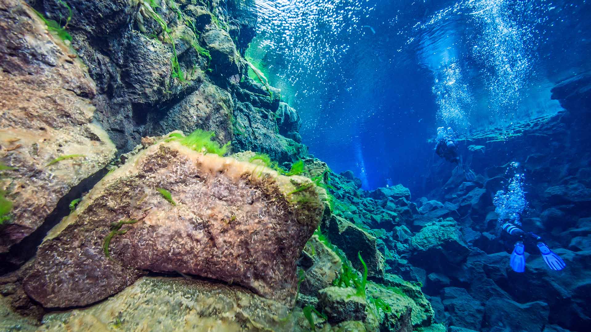 Snorkelling in the blue waters of Silfra fissure.