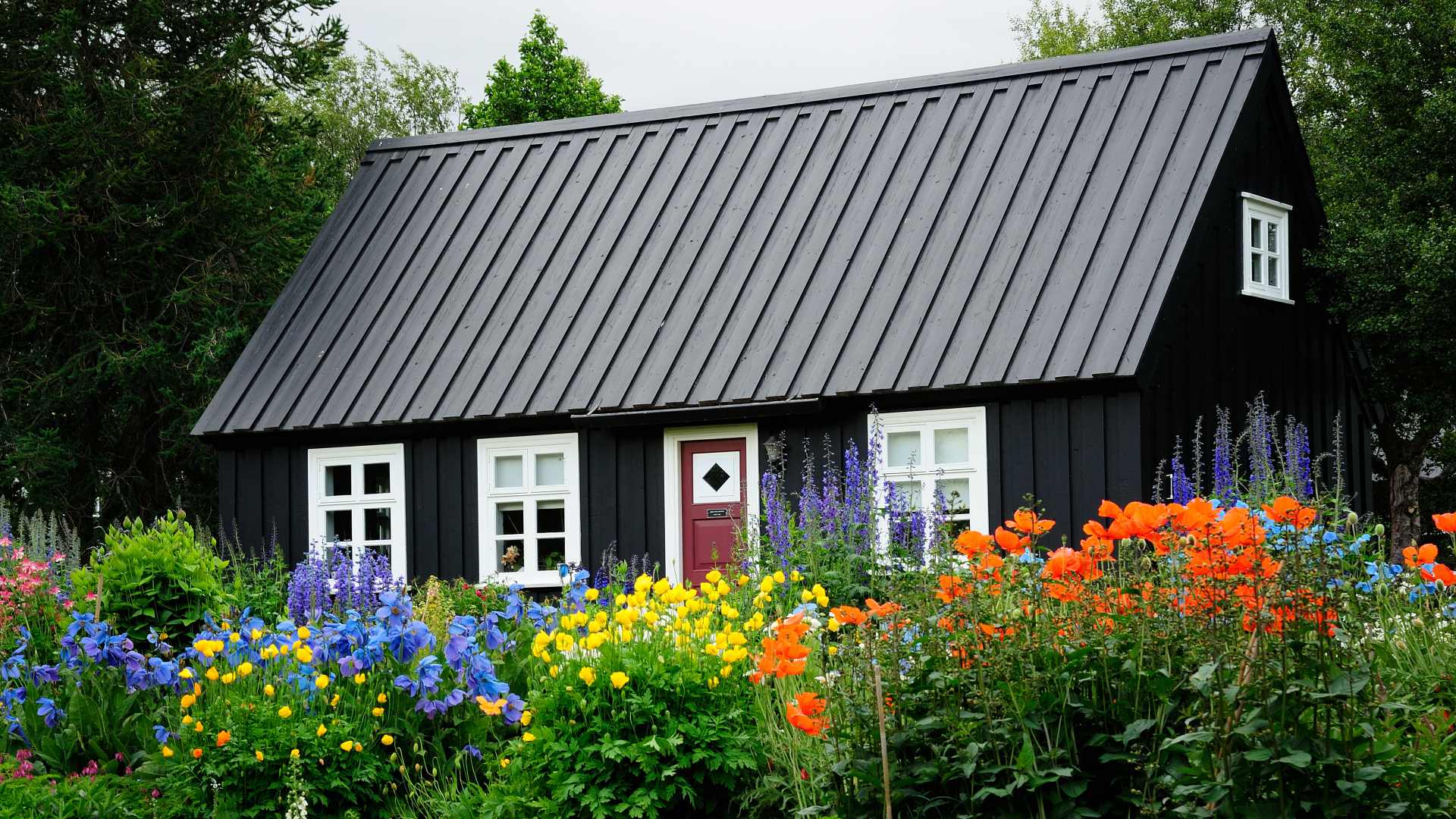 Akureyri Botanic Gardens, North Iceland