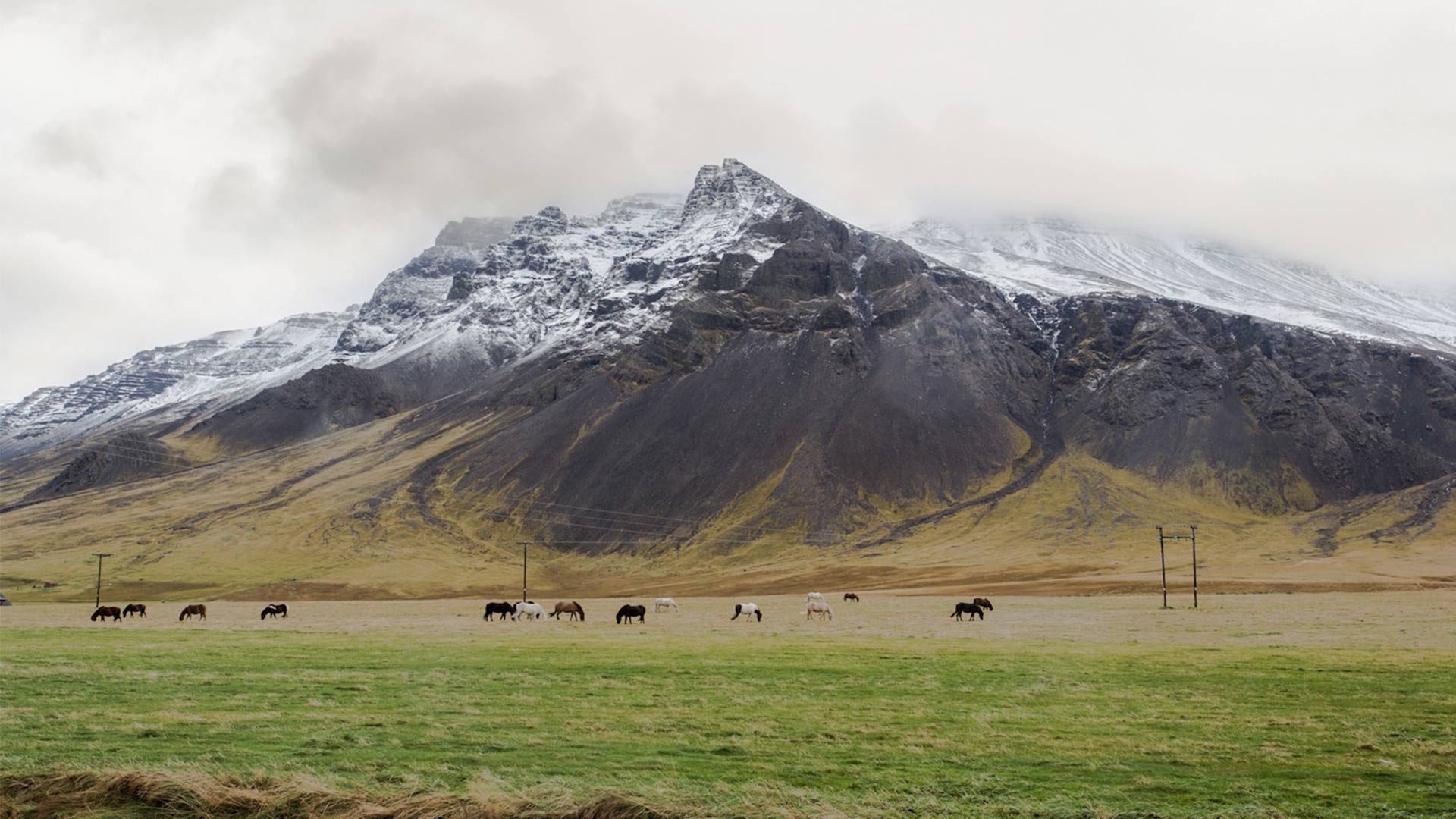 Criss Cross Food Tours Iceland Criss Cross Food Tours Iceland