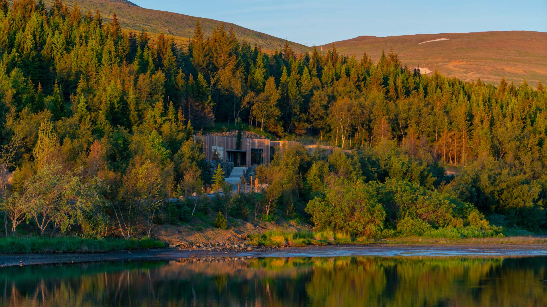 Forest Lagoon entrance, Iceland