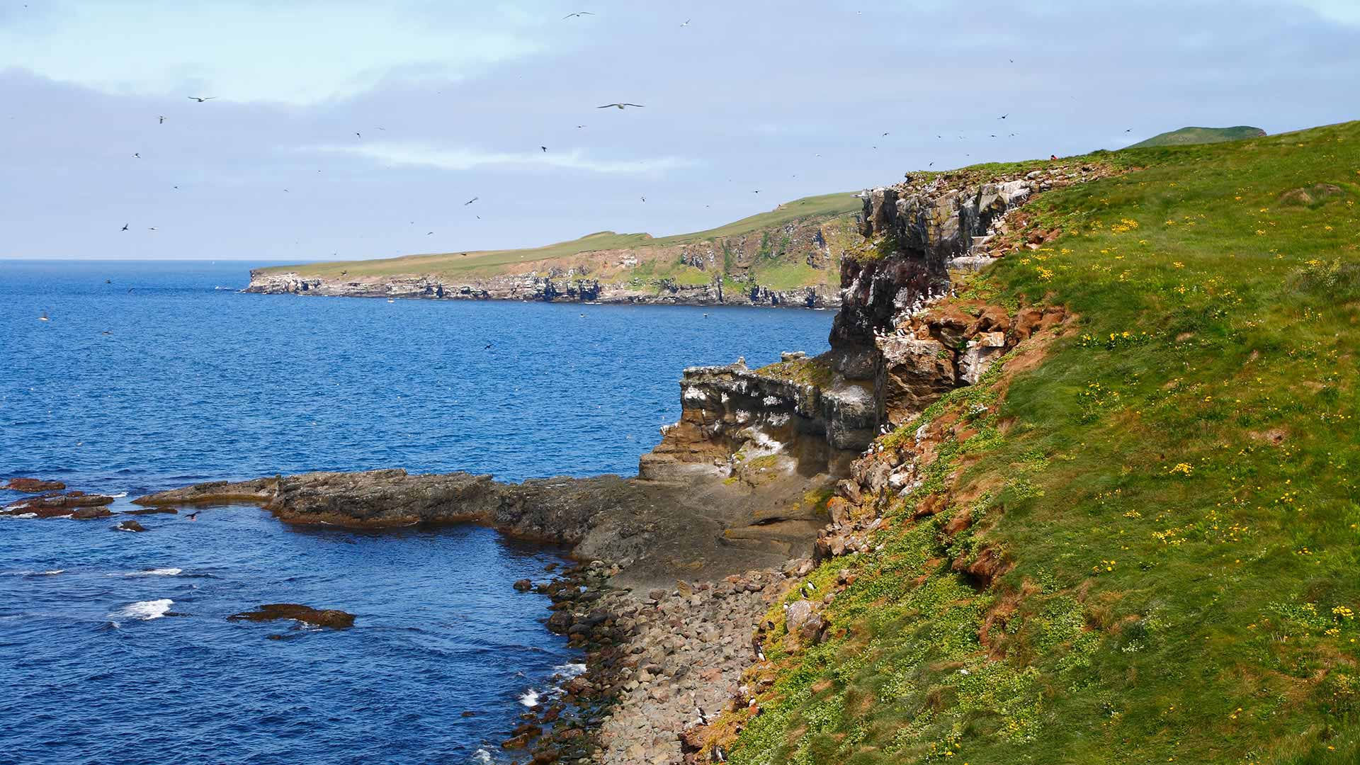Grimsey island
