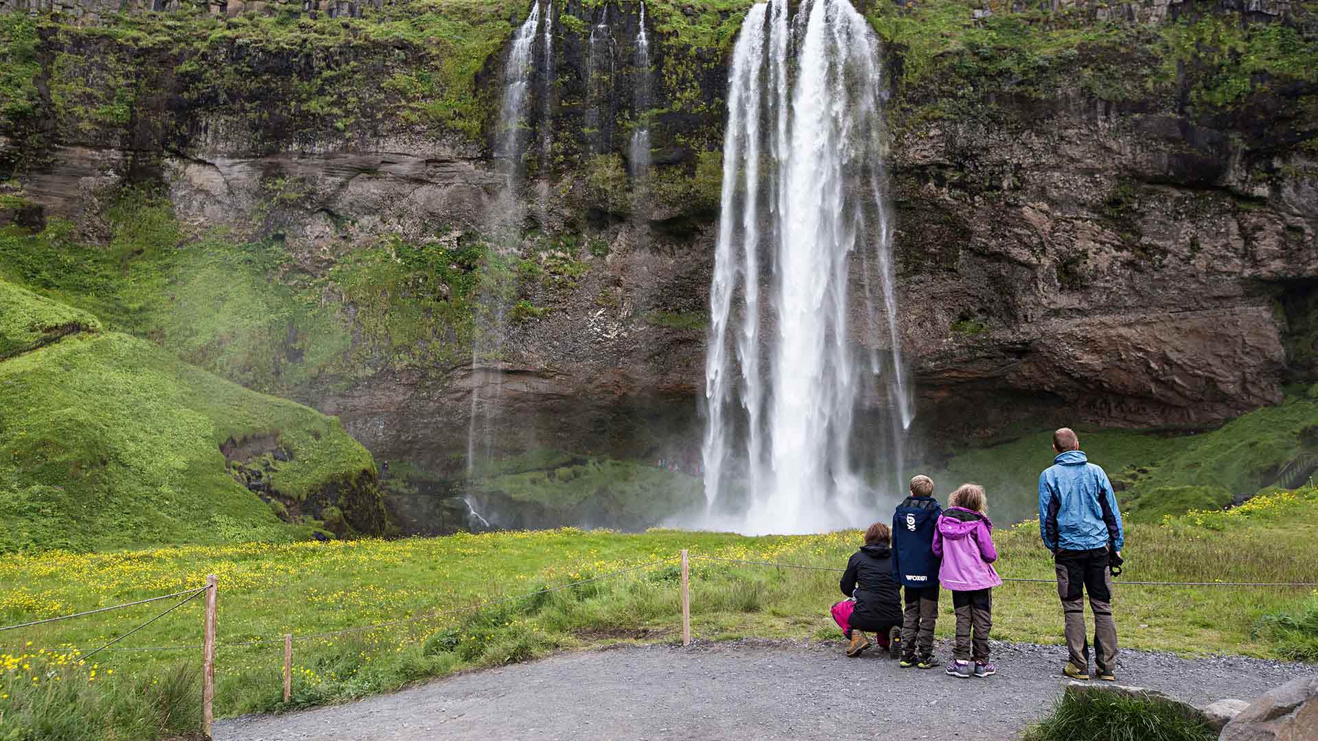 family at seljalandsfoss waterfall