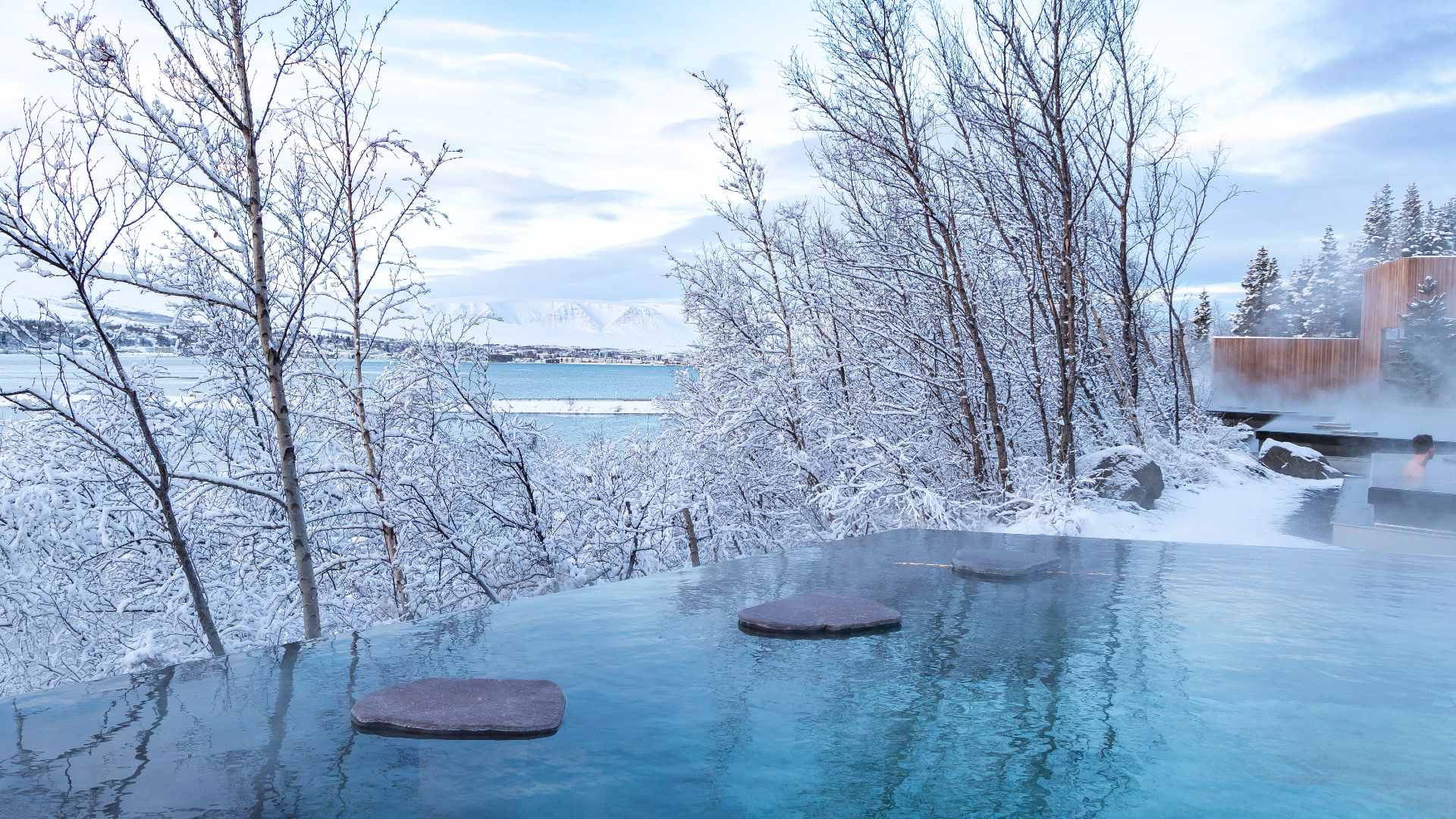 Forest Lagoon infinity pool surrounded by snow, Iceland