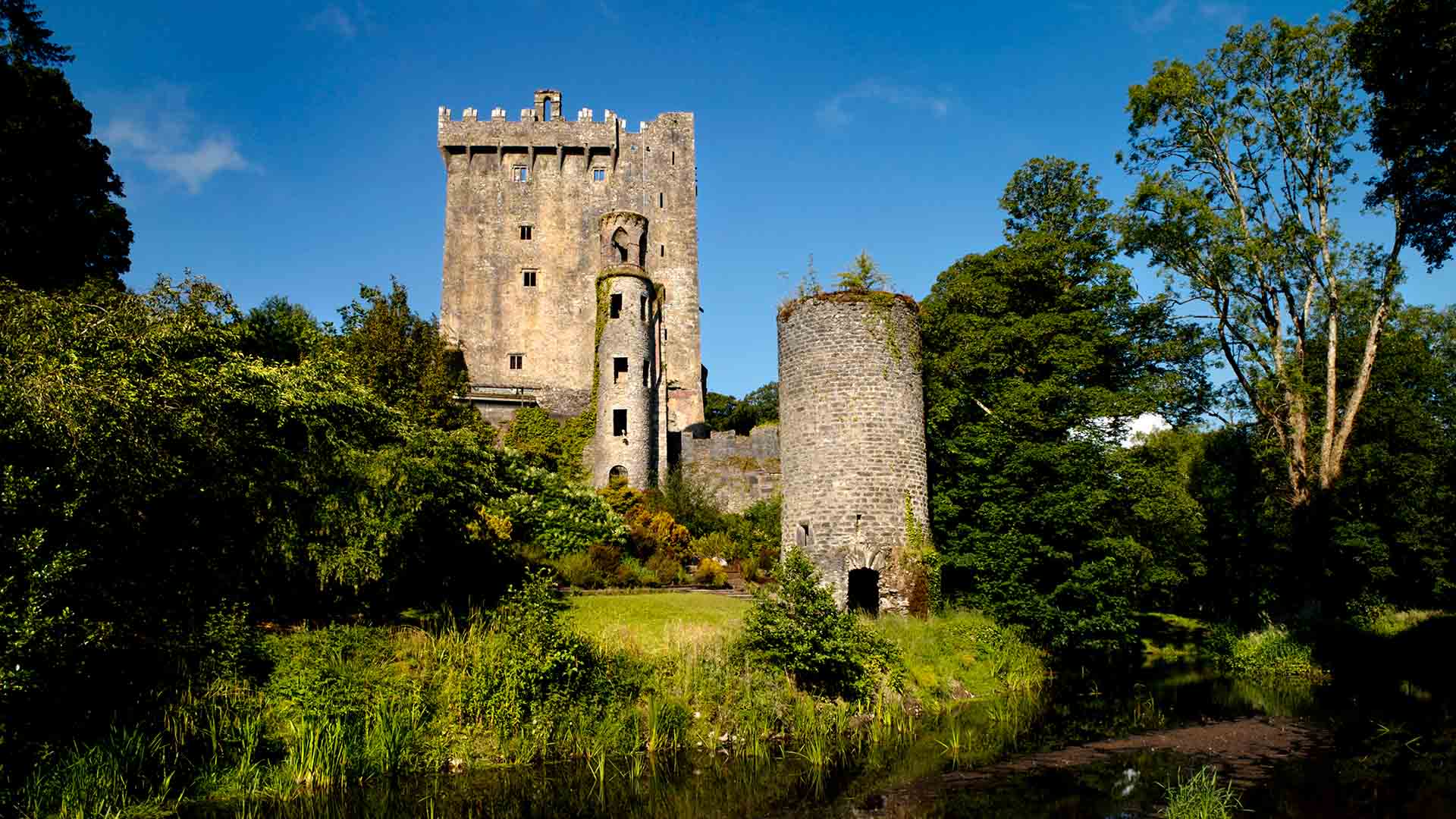 blarney castle towers