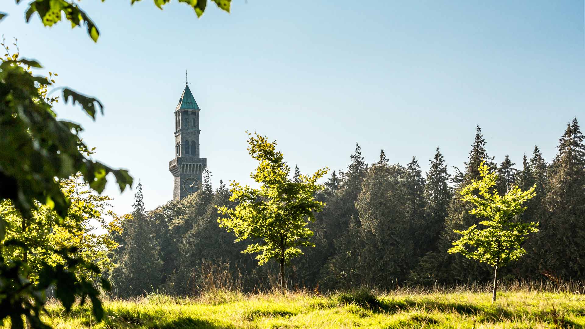 The clock tower in Phoenix Park.