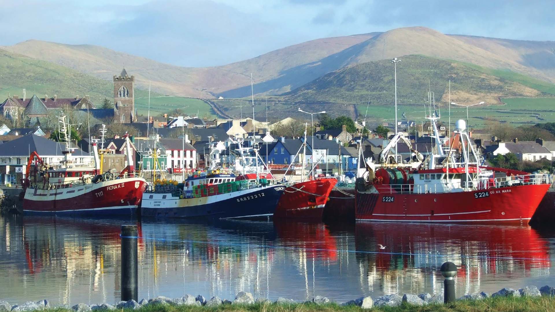 Dingle harbour, Ireland