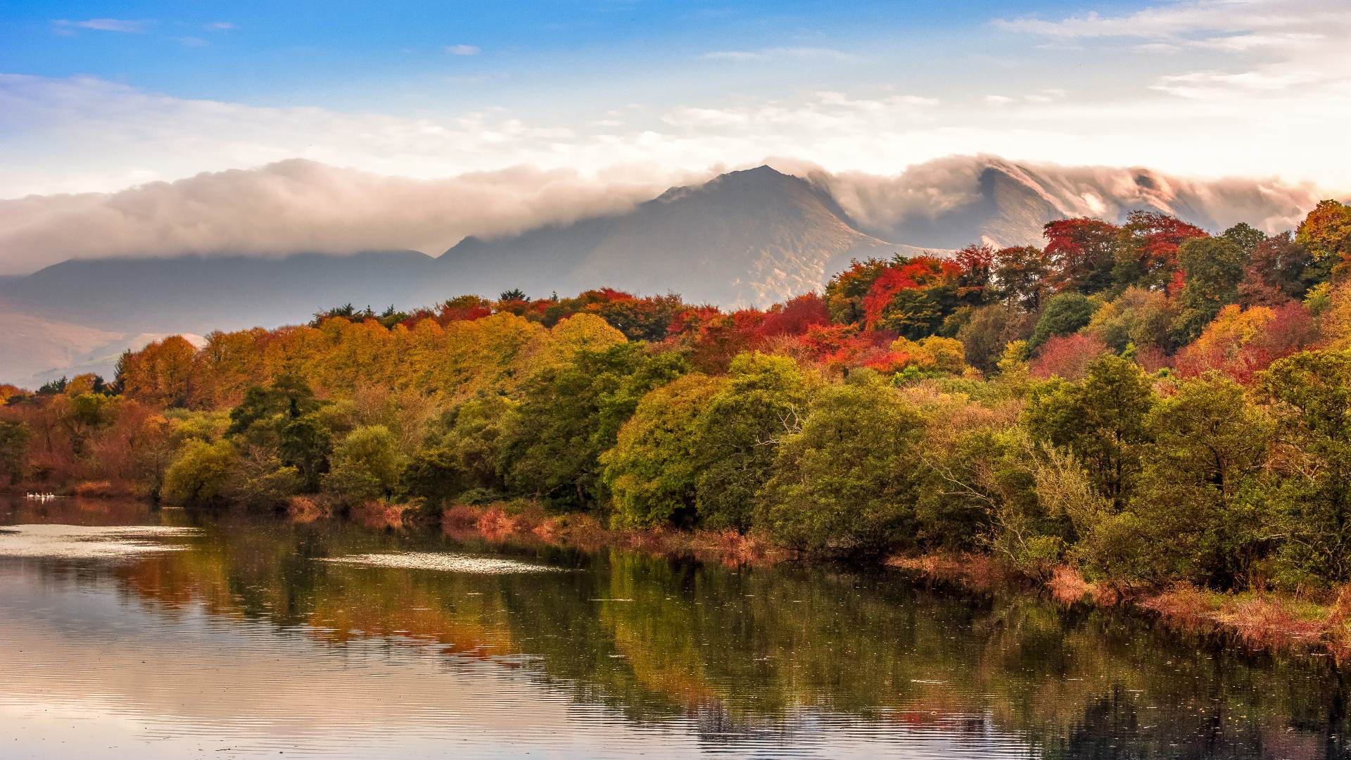 Autumn forest and mountains at sunrise in Killorglin, County Herry, Ireland