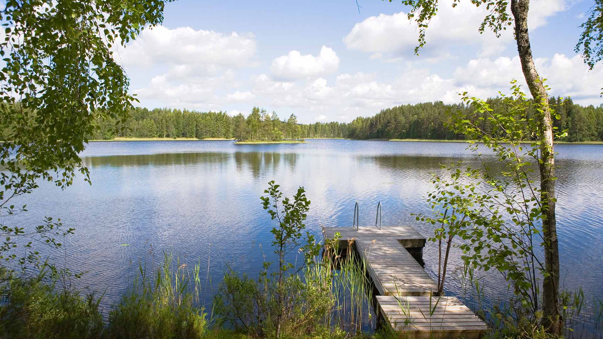 Lake in Finland in summer