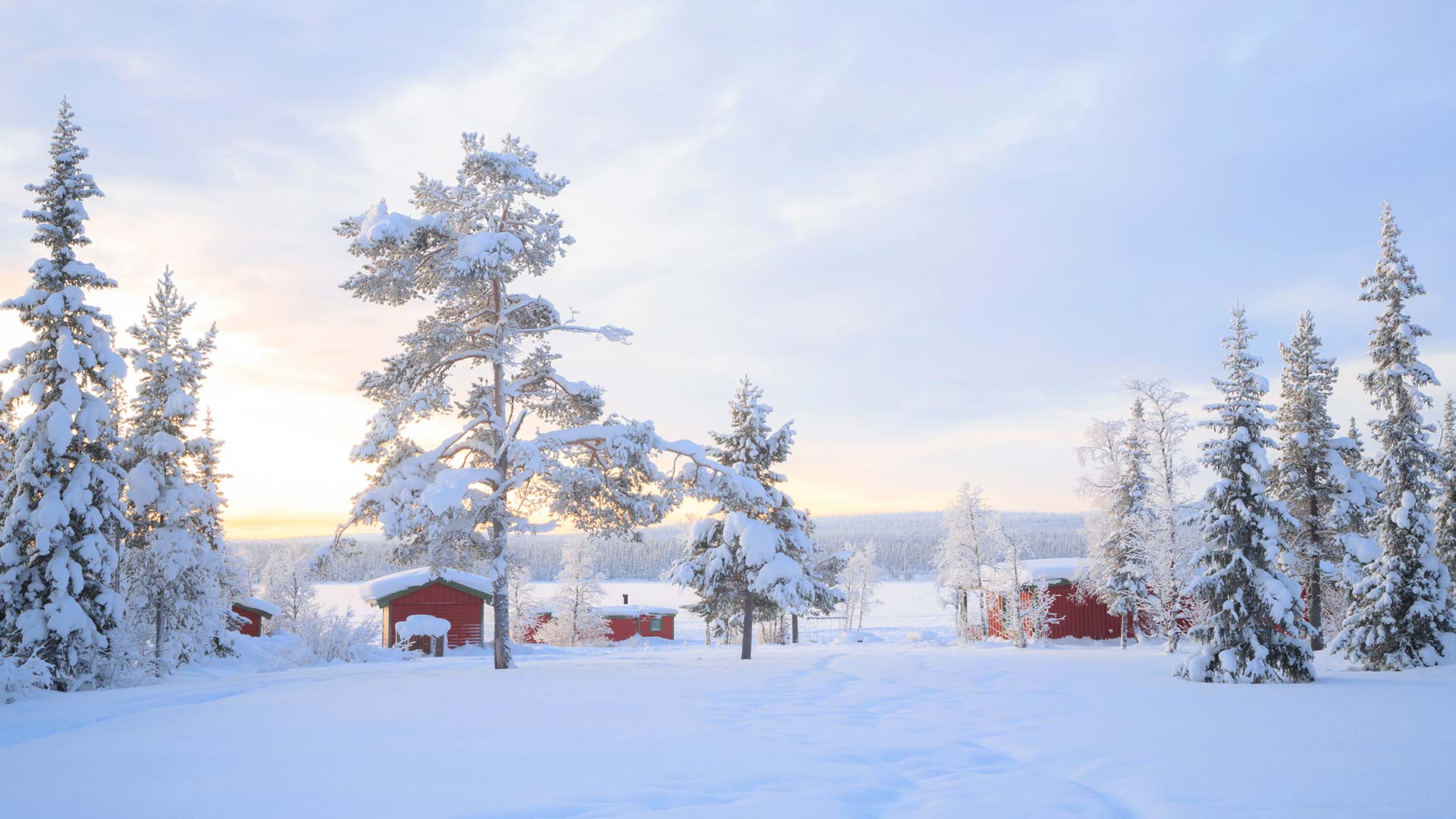 Cabin in Lapland