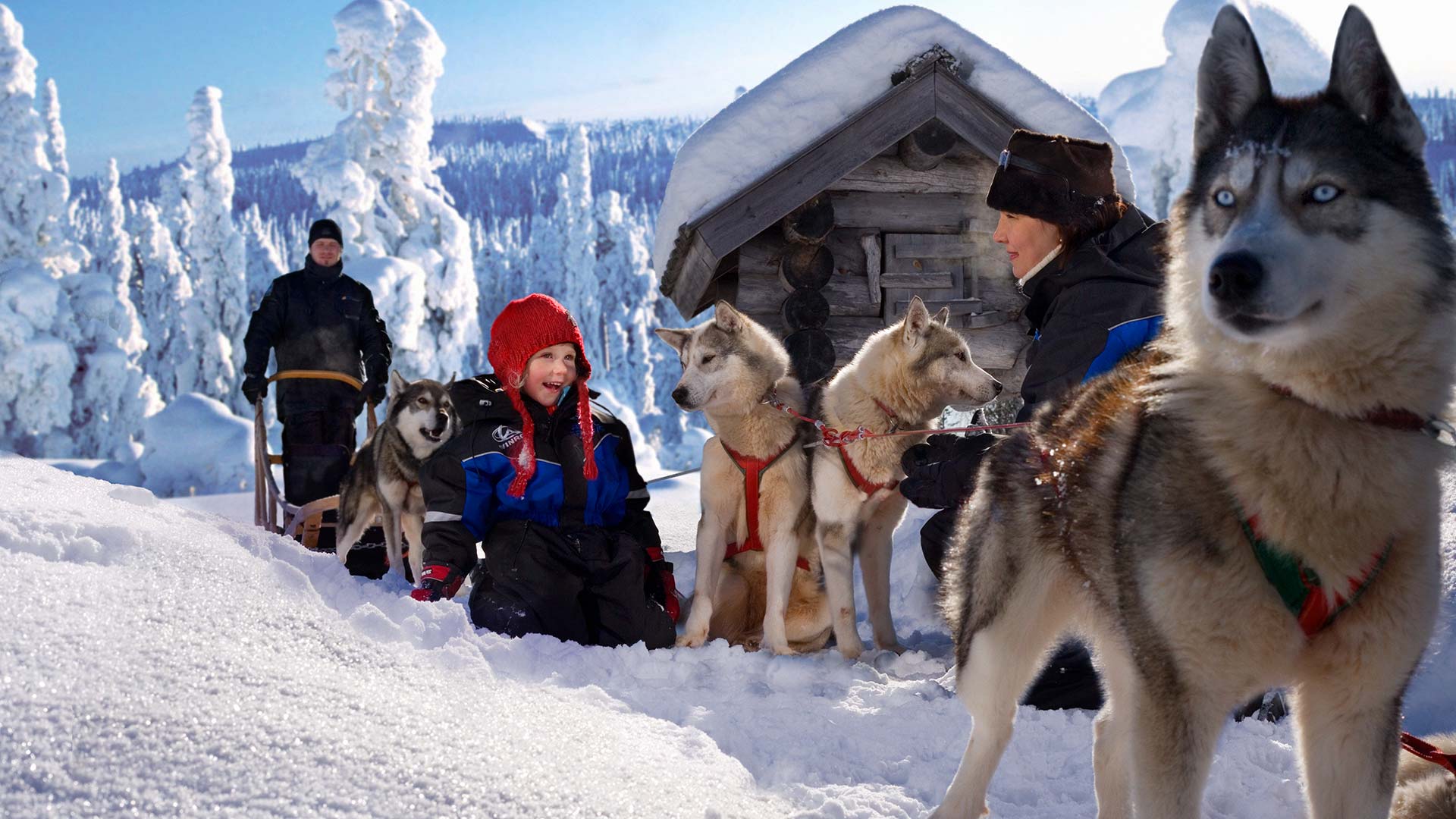 Huskies & family in Rovaniemi, Lapland ©Antti Kurola - Visit Rovaniemi