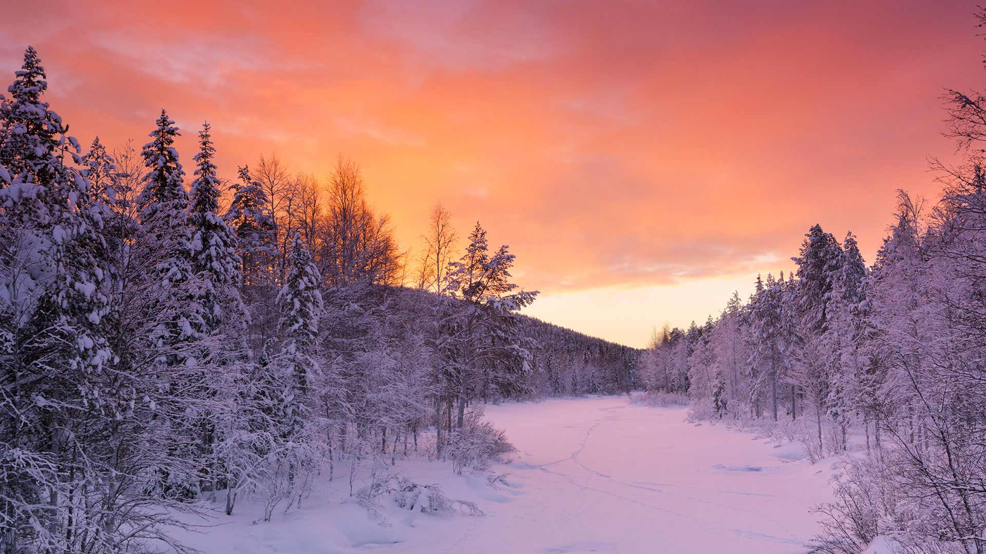 Levi in Lapland