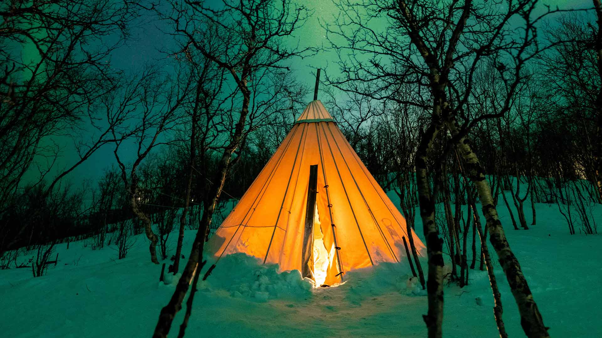 Northern Lights, aurora borealis over Abisko, Swedish Lapland