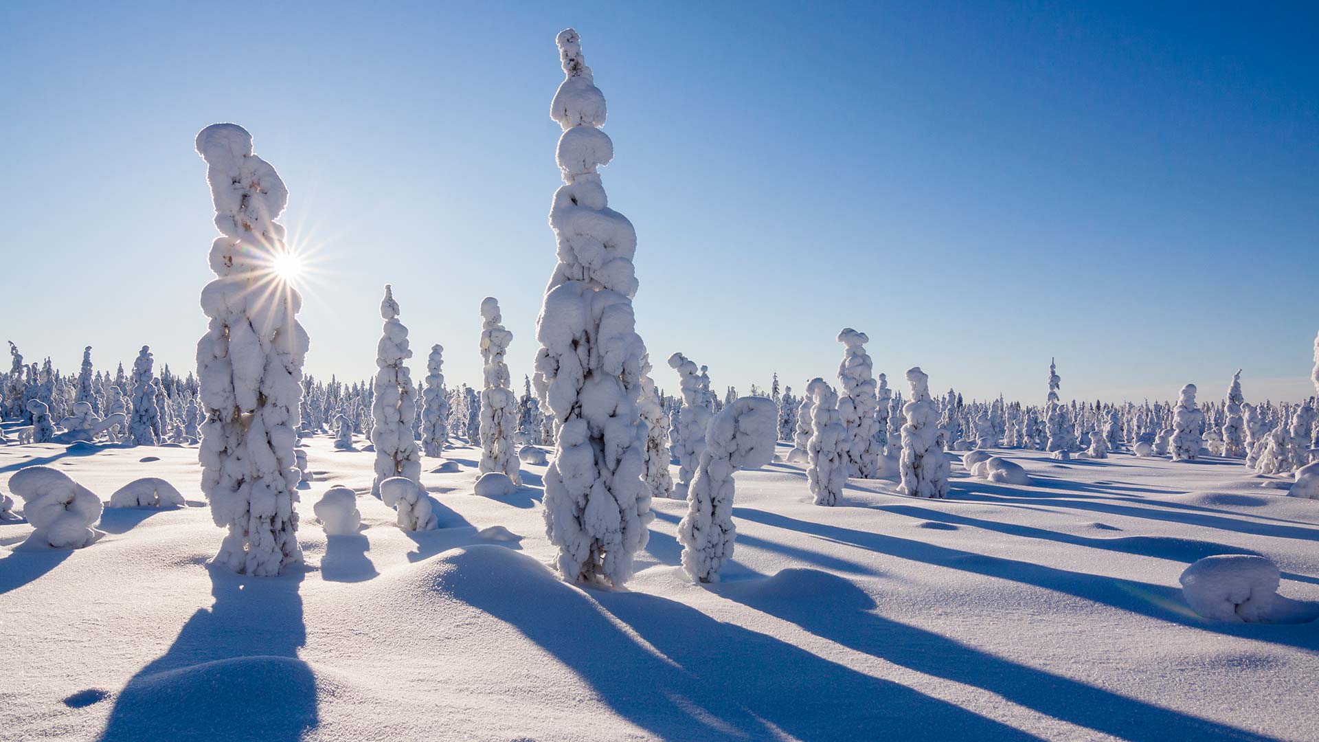 Rovaniemi, Lapland ©Marko Junttila - Visit Rovaniemi