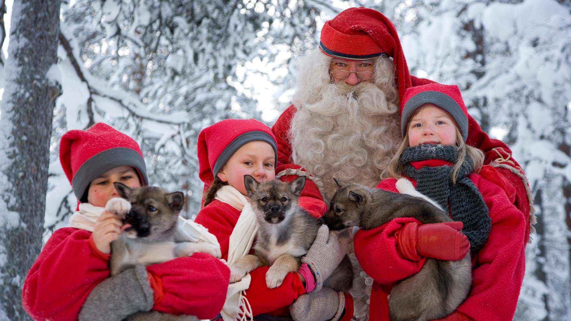 santa with elves and husky pups