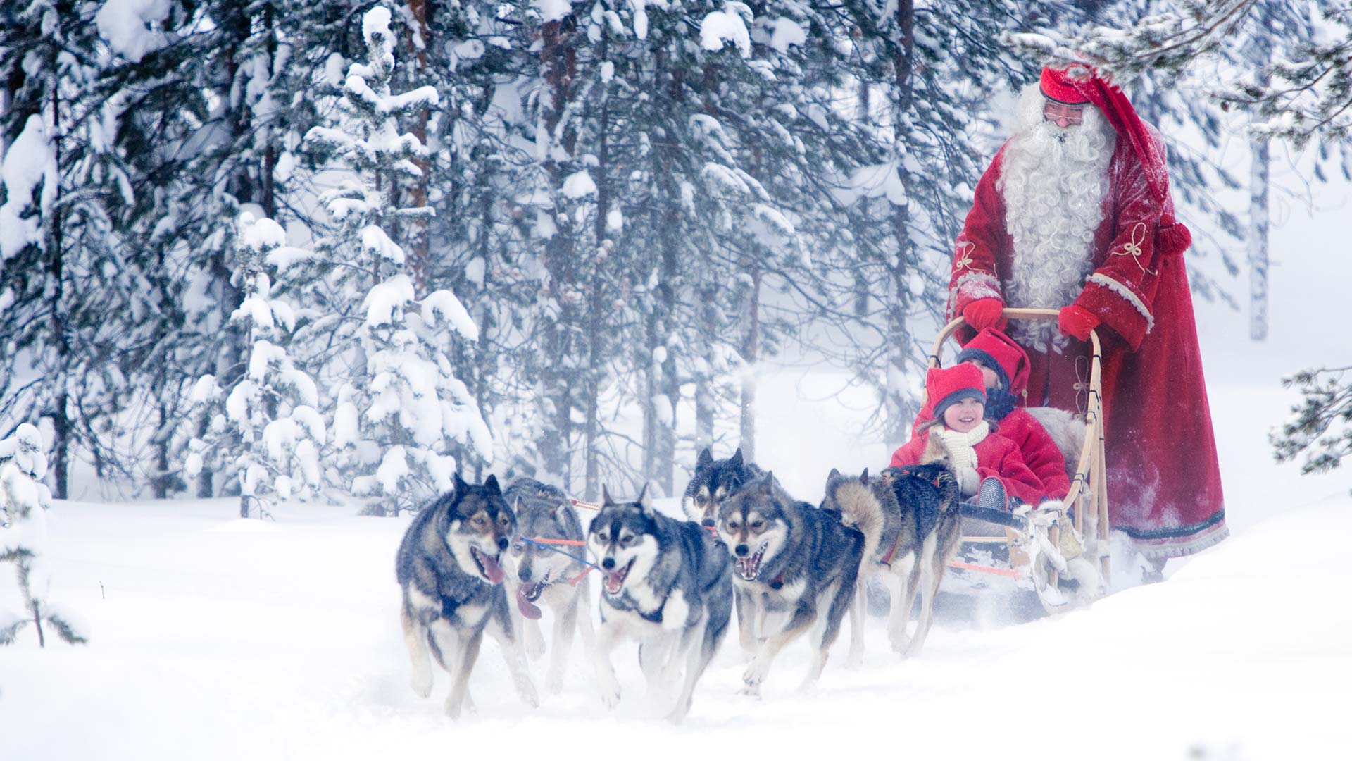 santa husky sled rovaniemi©visitrovaniemi.fi