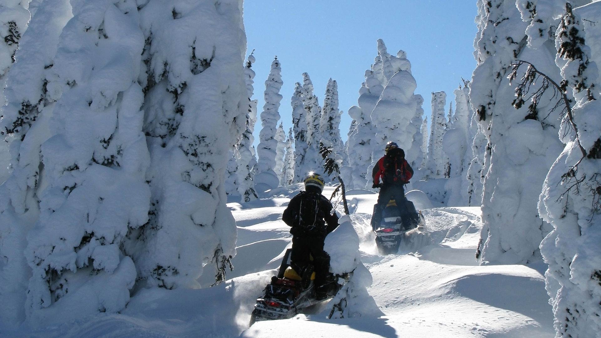 snowmobiling in the snow