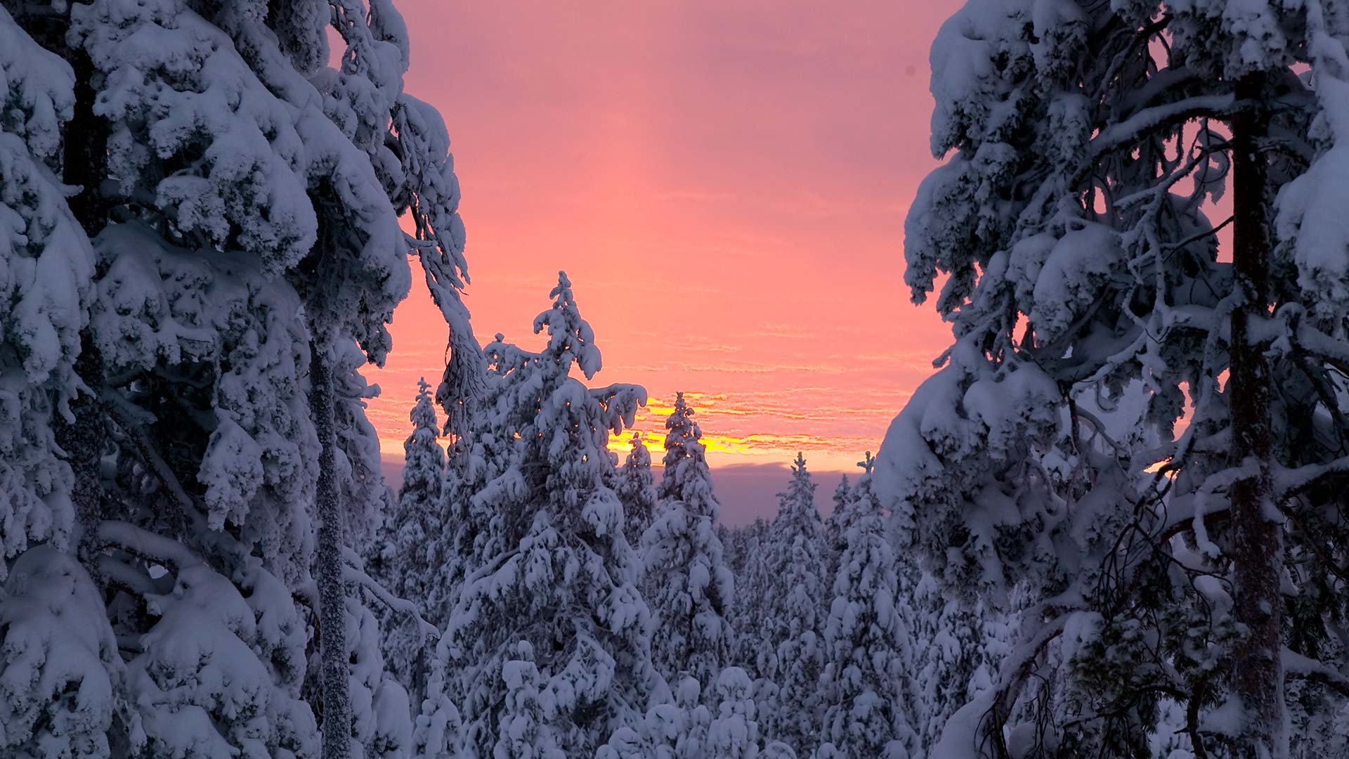 where to visit in sweden in winter
