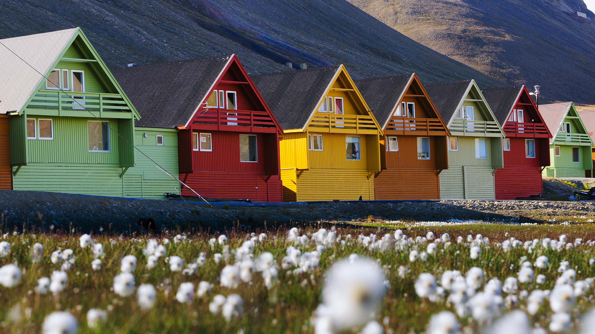 Isfjord Safari & Huskies- 4 Days 3 Nights - Nordic Visitor