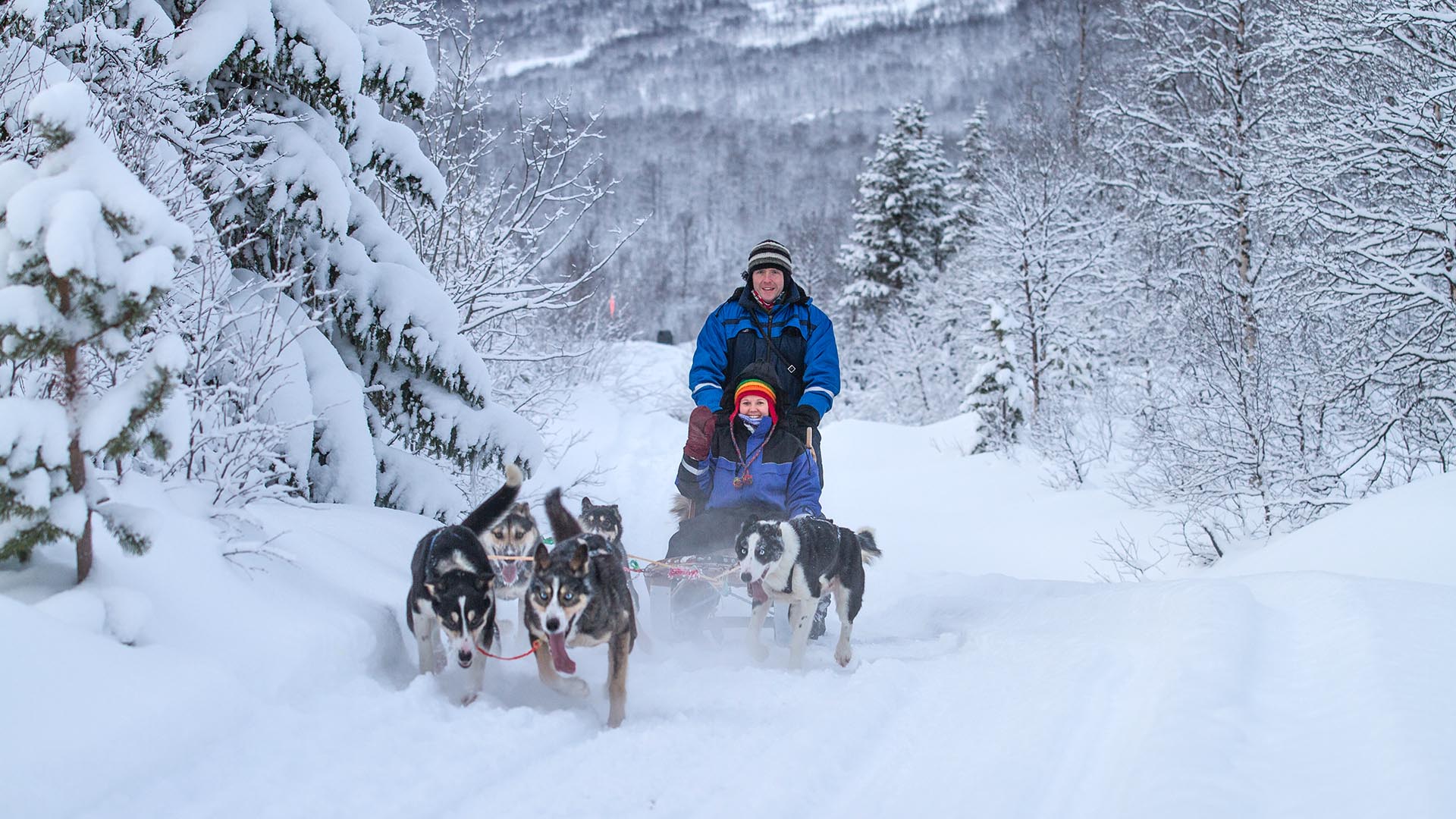 Dog sledding ©lyngsfjord