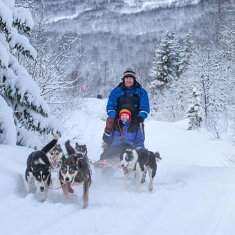 Dog sledding ©lyngsfjord