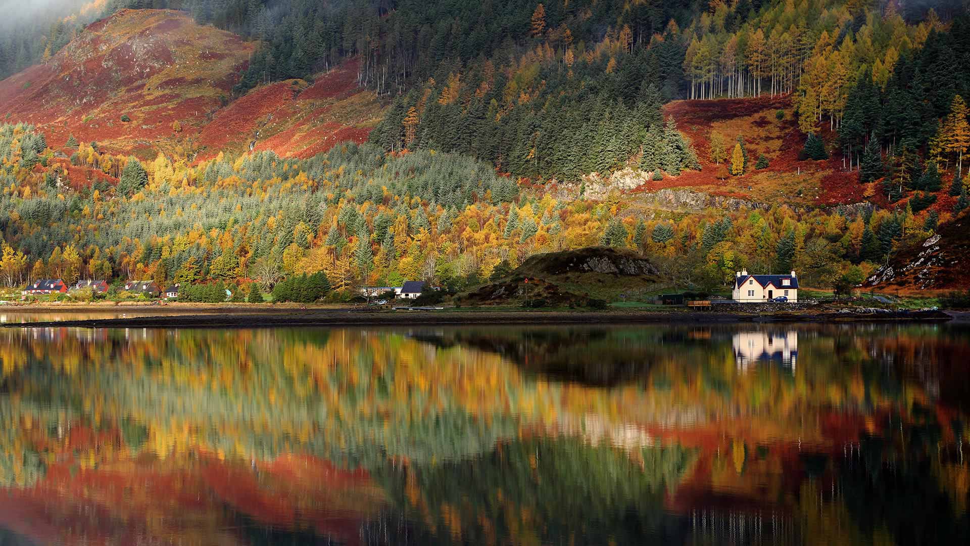 autumnal trees in scottish highlands