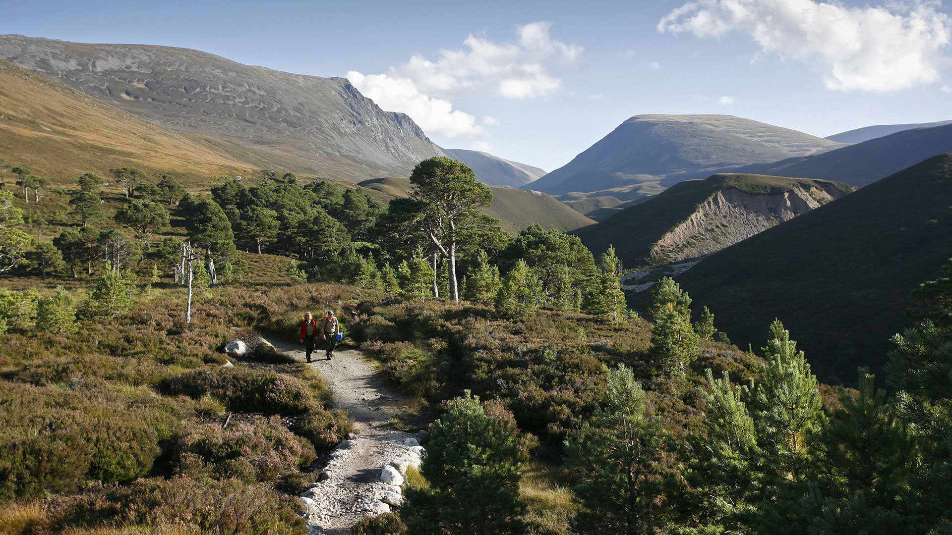 Hiking trail in the Cairngorm National Park, Scotland