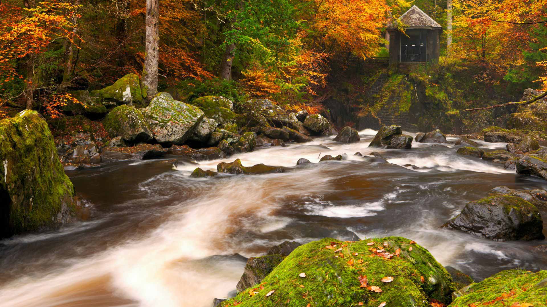 hermitage in autumn colours