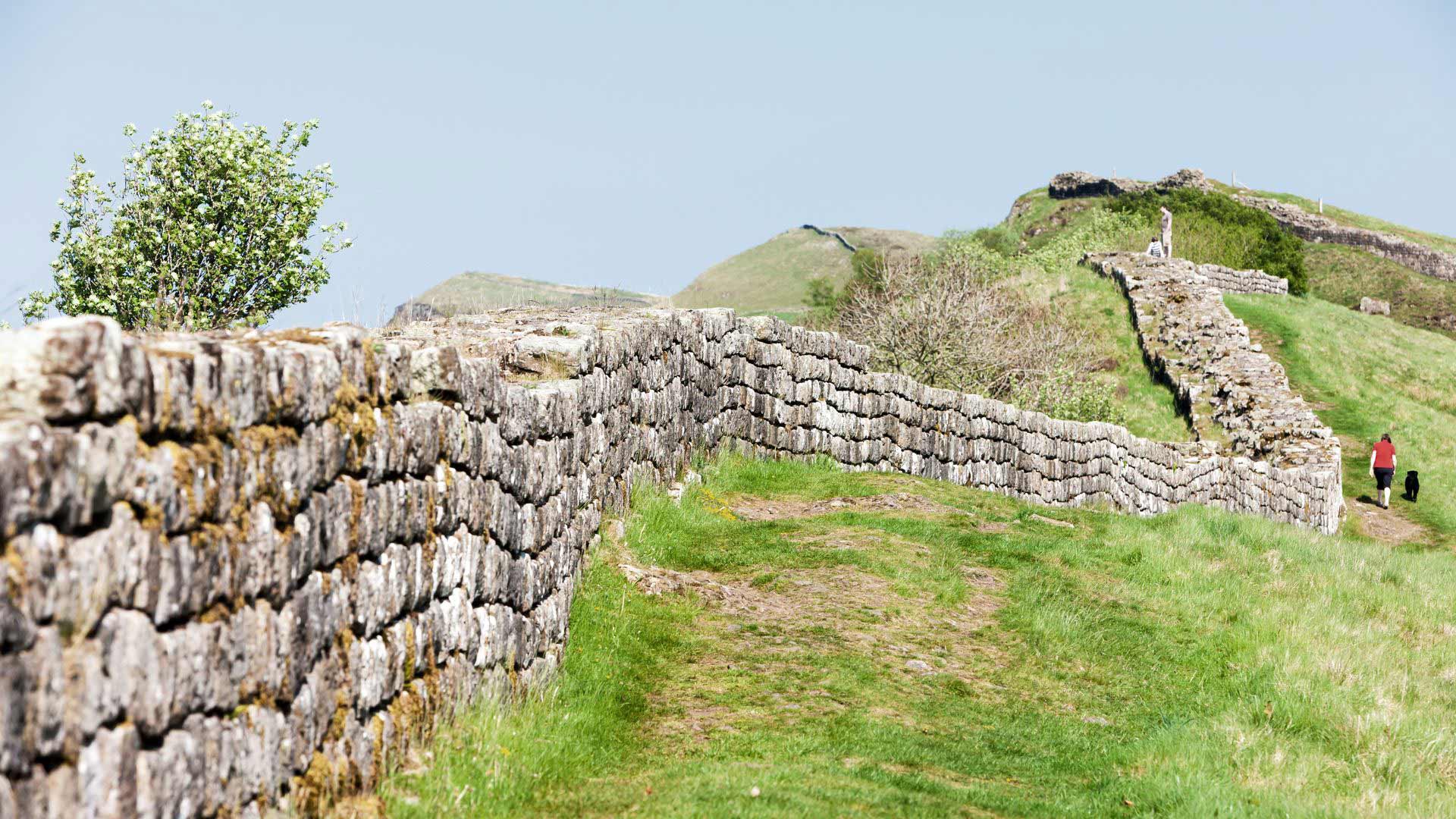 Hadrian's wall stretching out into green fields