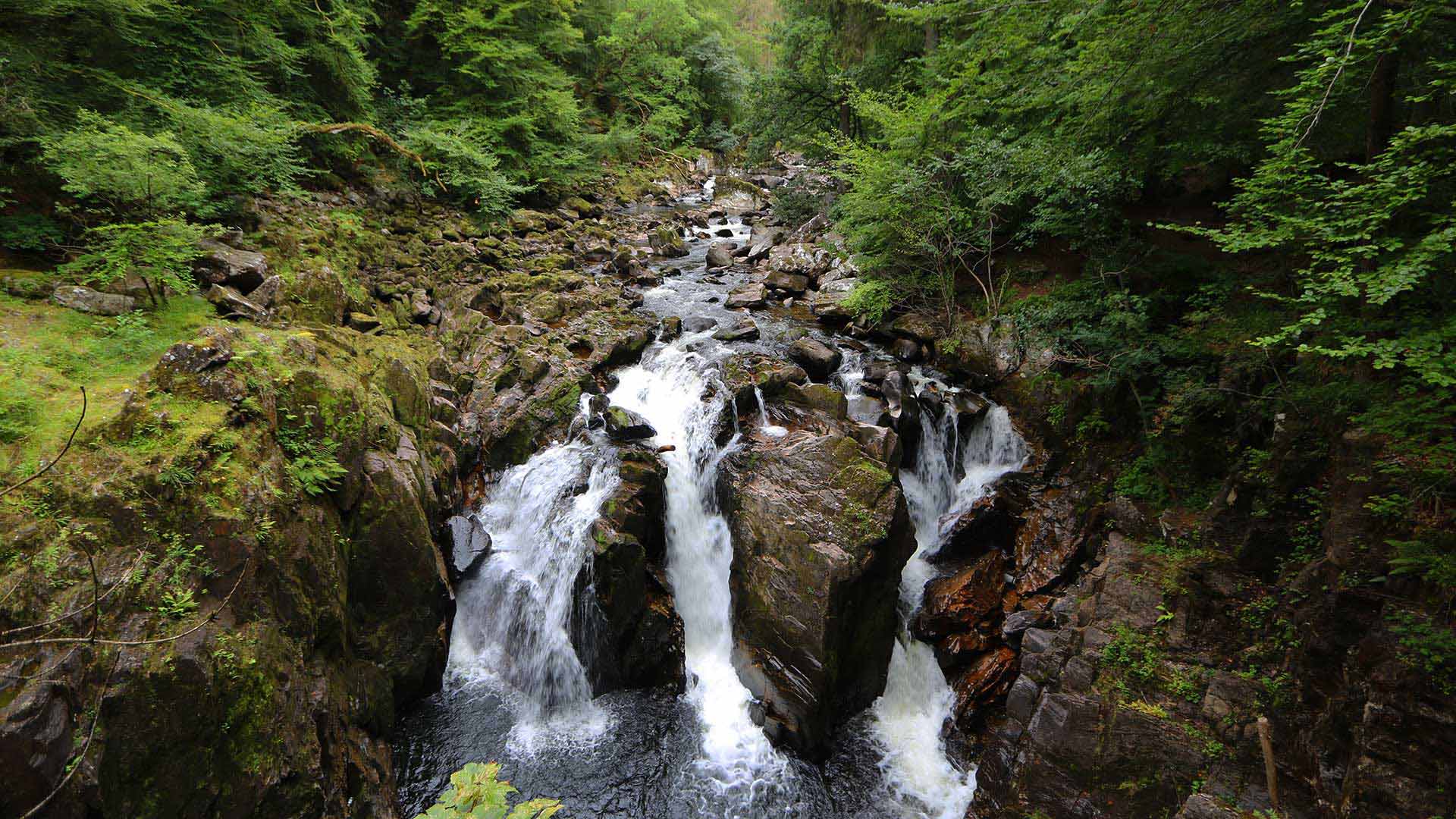 hermitage pertshire