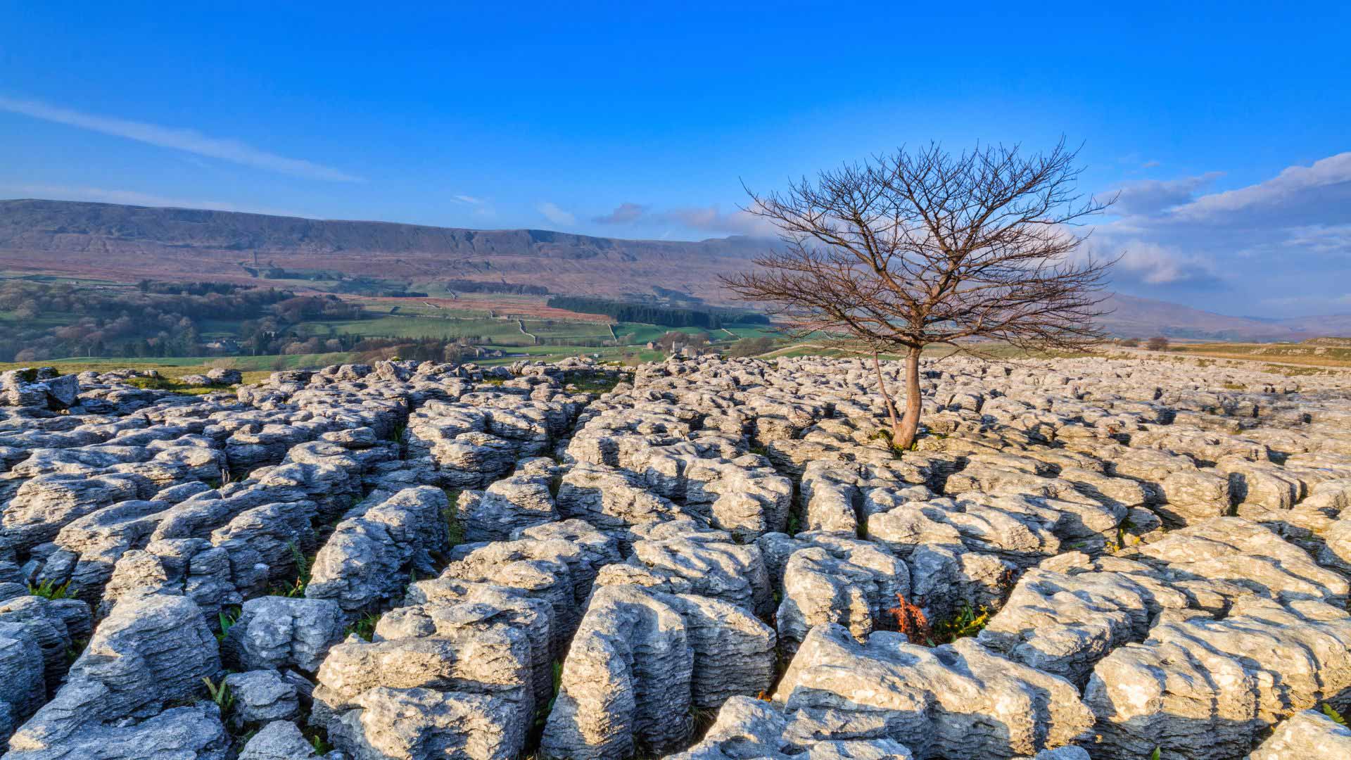 Twisted limestone rocks in the Yorkshire Dales