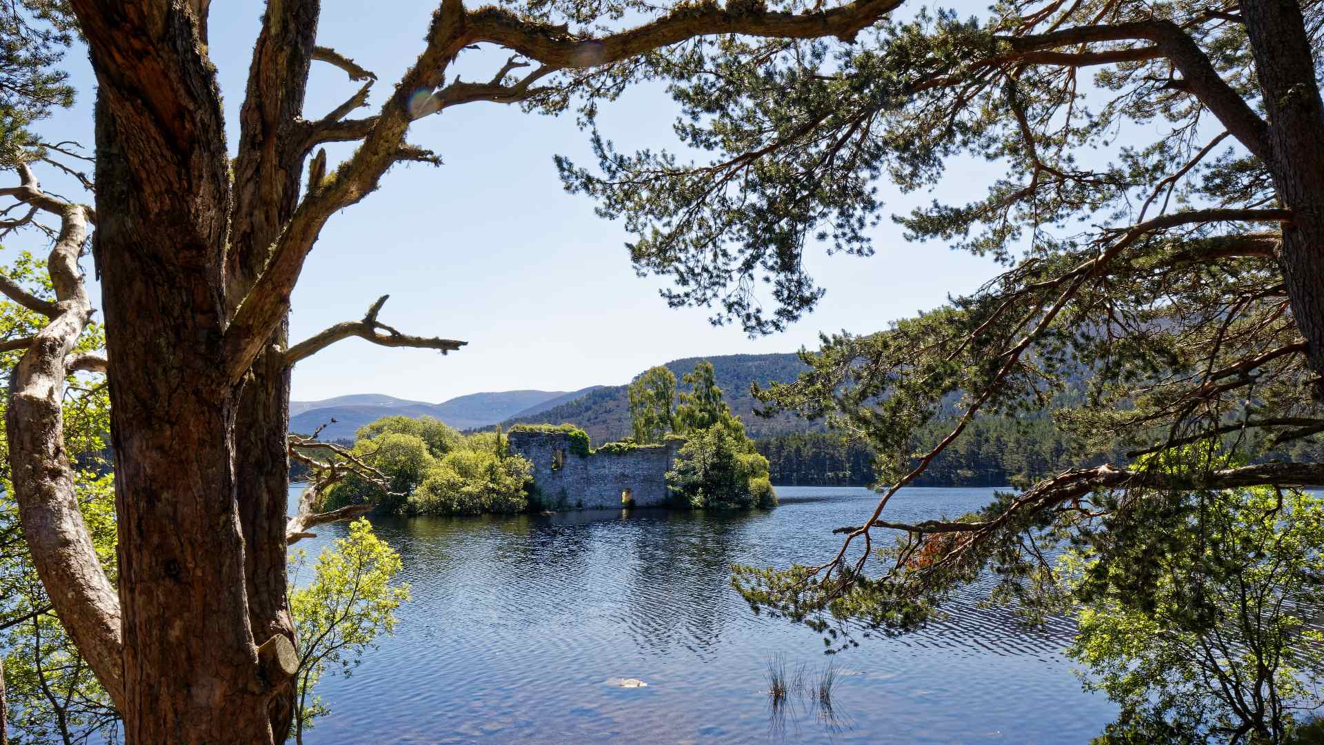 Loch an Eilein castle from the forested banks of the loch