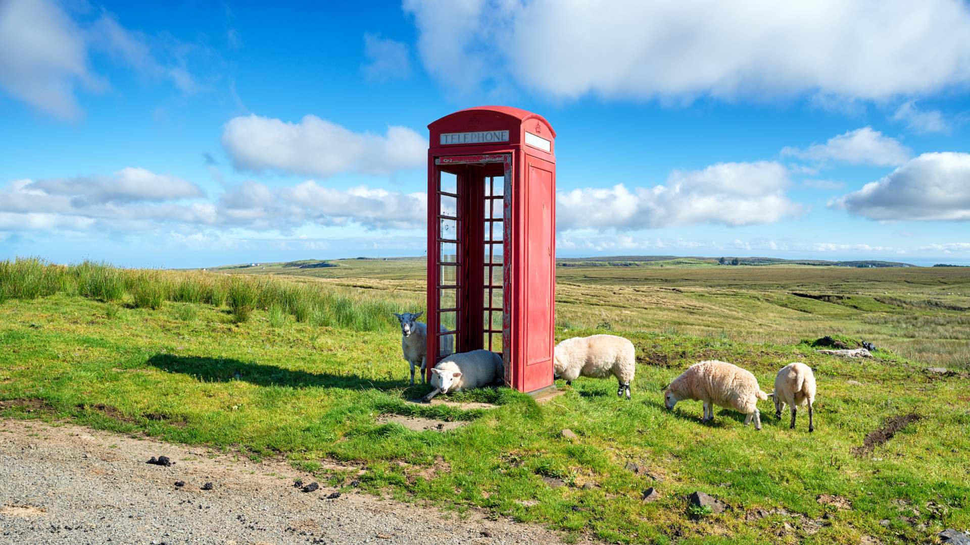 Sheep outside a red phone box, Isle of Skye, Scotland