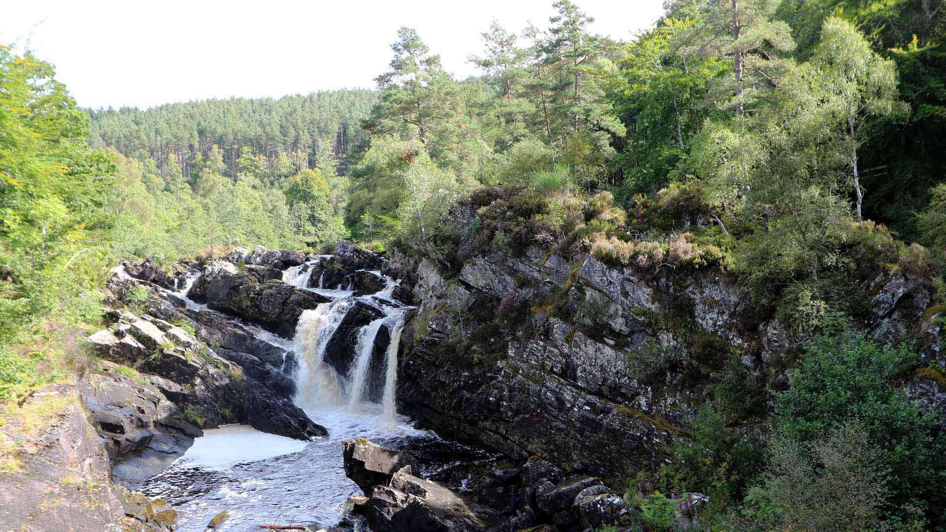Rogie Falls, Scotland