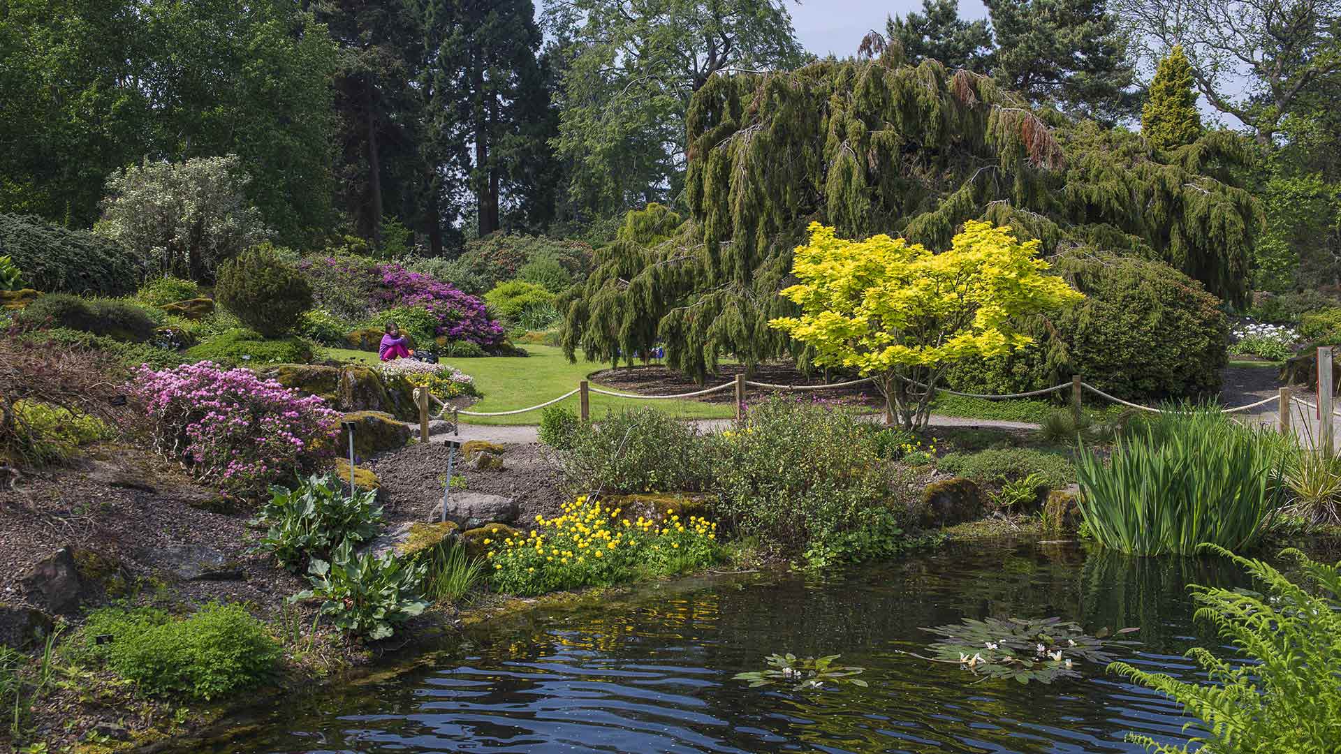 Royal Botanic Garden in Edinburgh