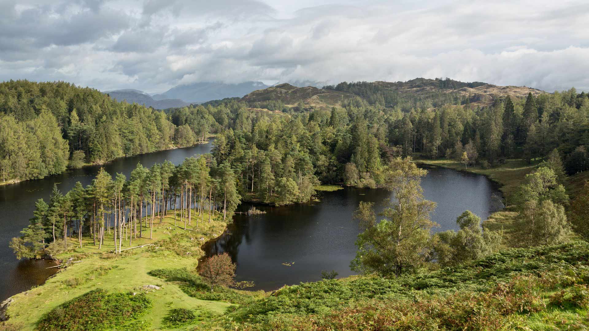 Tarn Hows, Lake District, Northern England