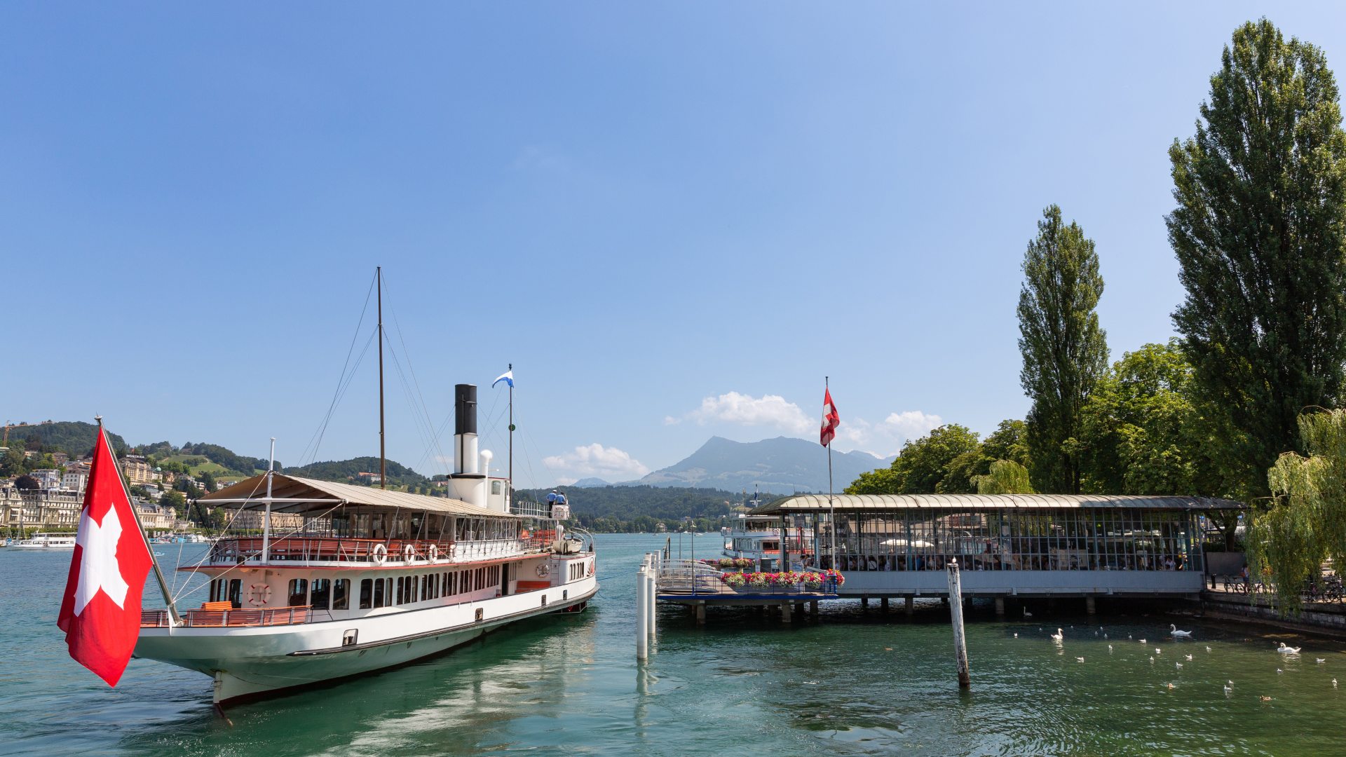 Historic steamboat sailing across Lake Lucerne