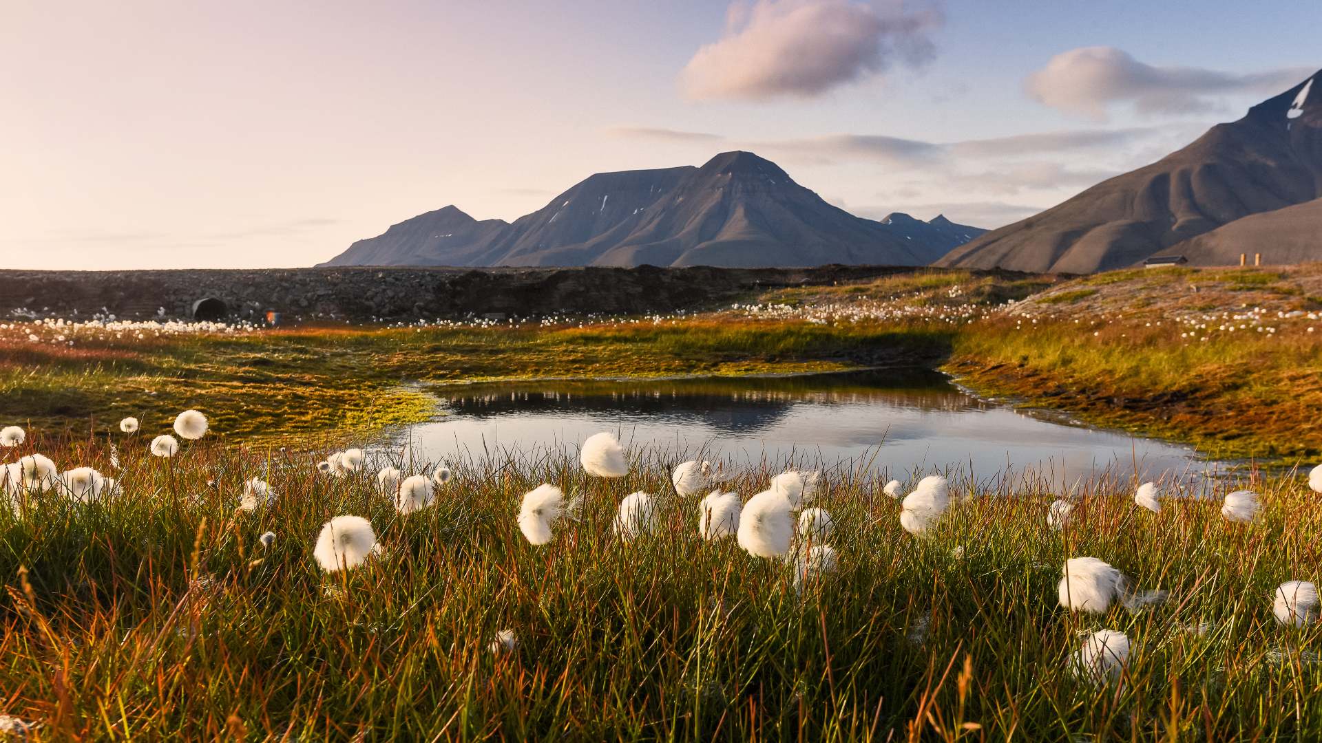 Mountains and a lake in summer near Longyearbyen, Svalbard