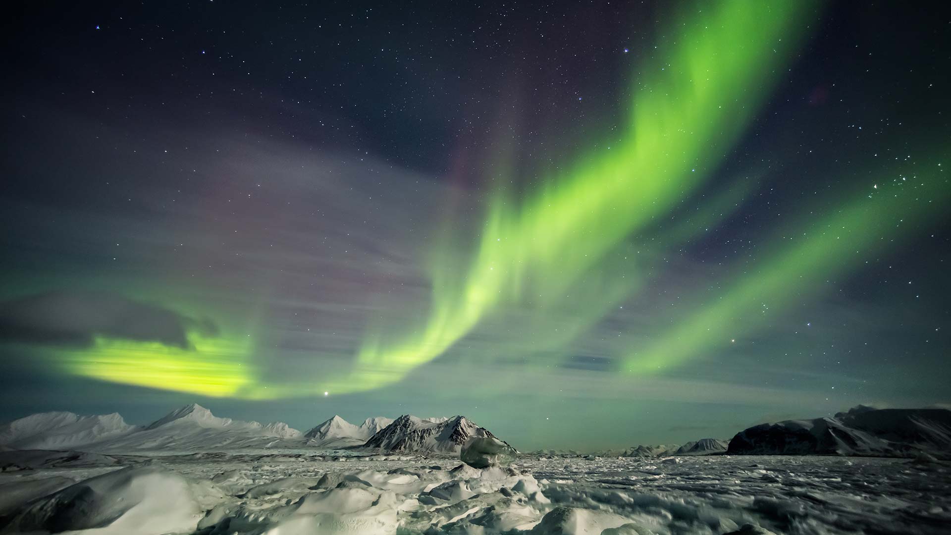 les aurores boréales au-dessus du svalbard