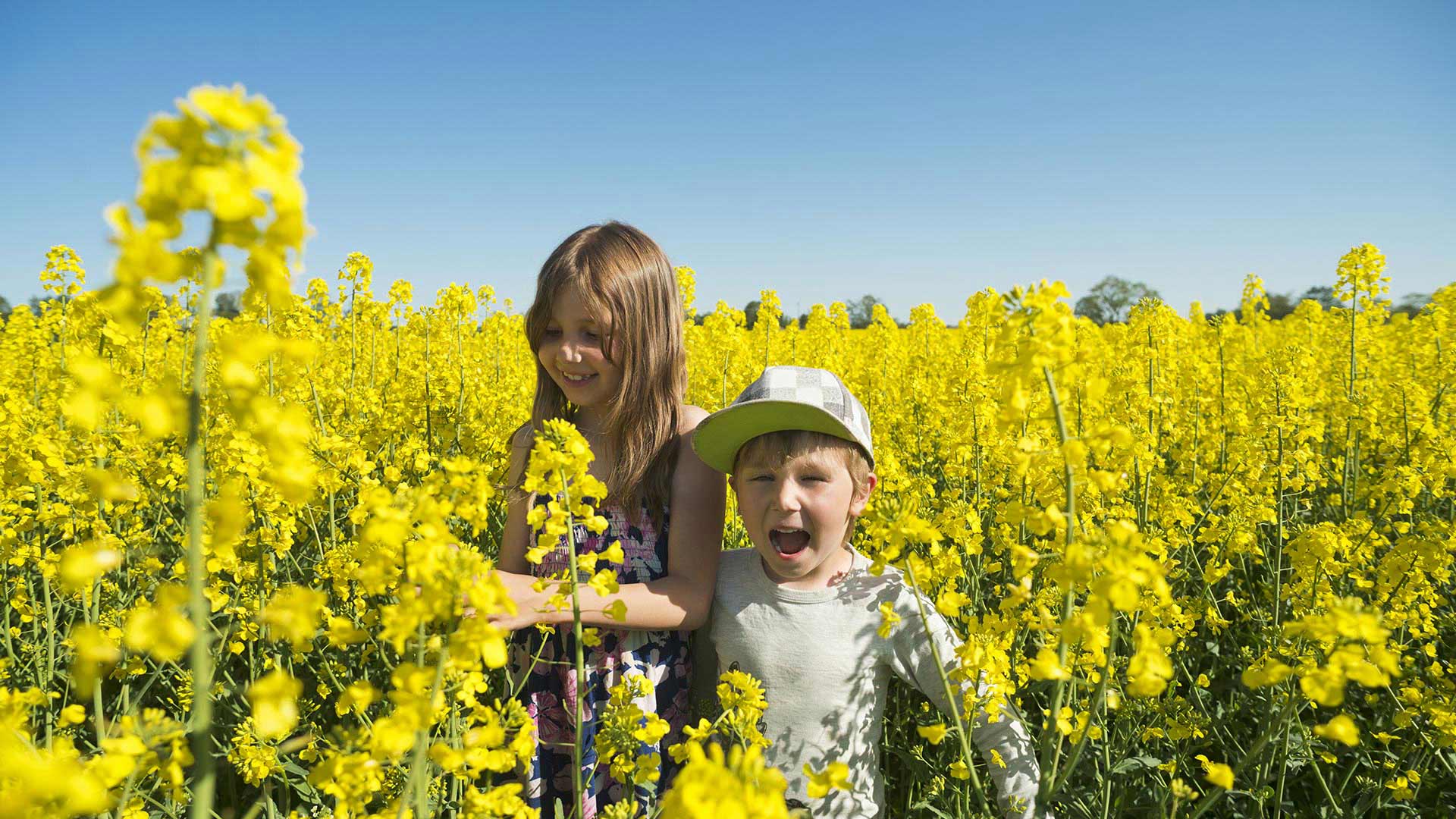 Family travel in Sweden