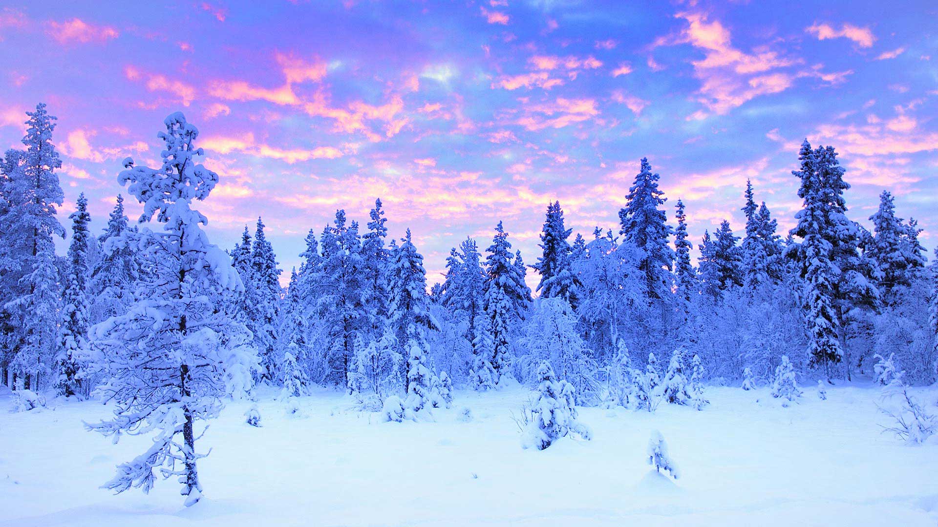 Sweden In Winter What To Do Where To Go Nordic Visitor