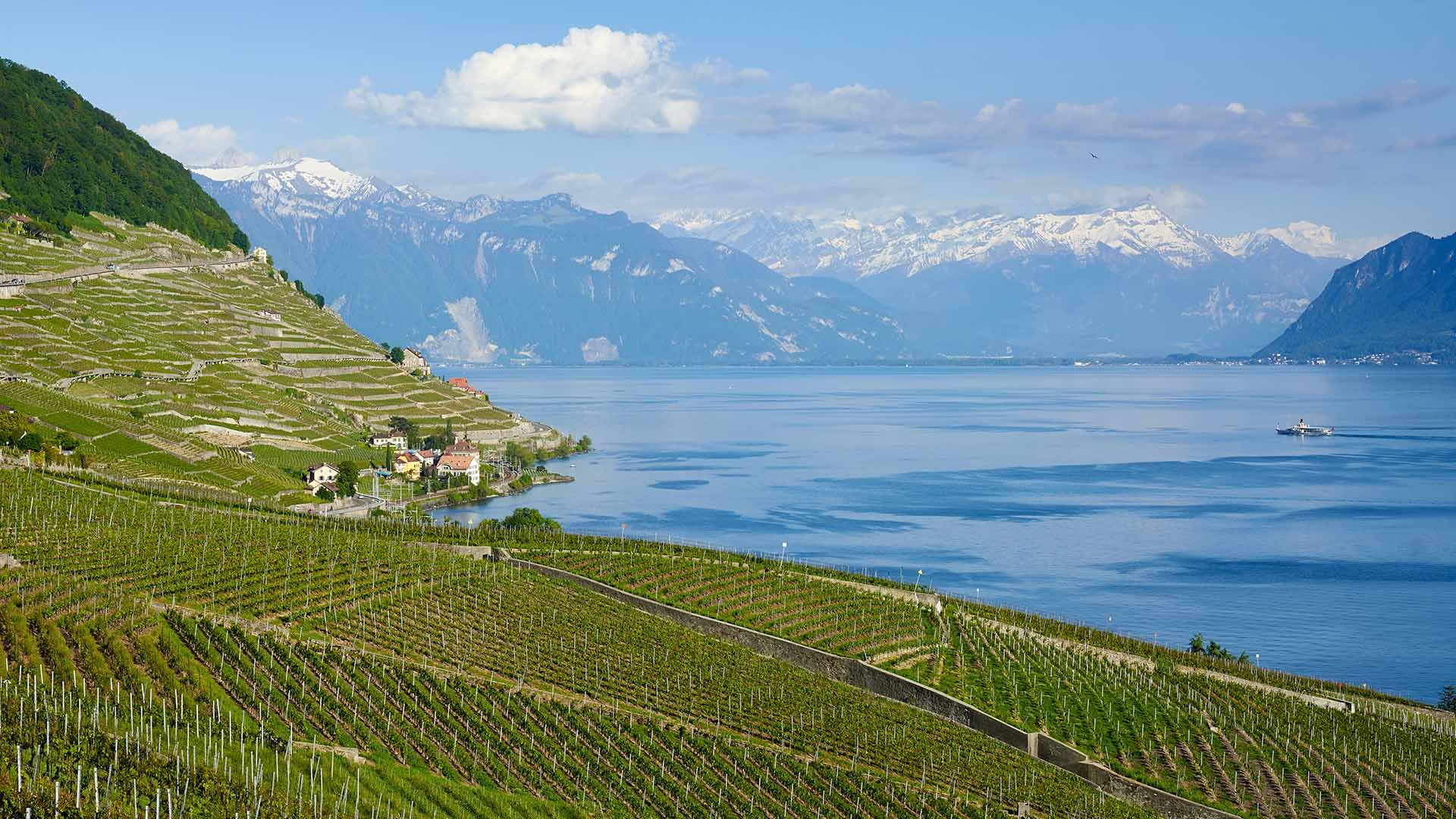 Lavaux vineyards, Lake Geneva, Switzerland