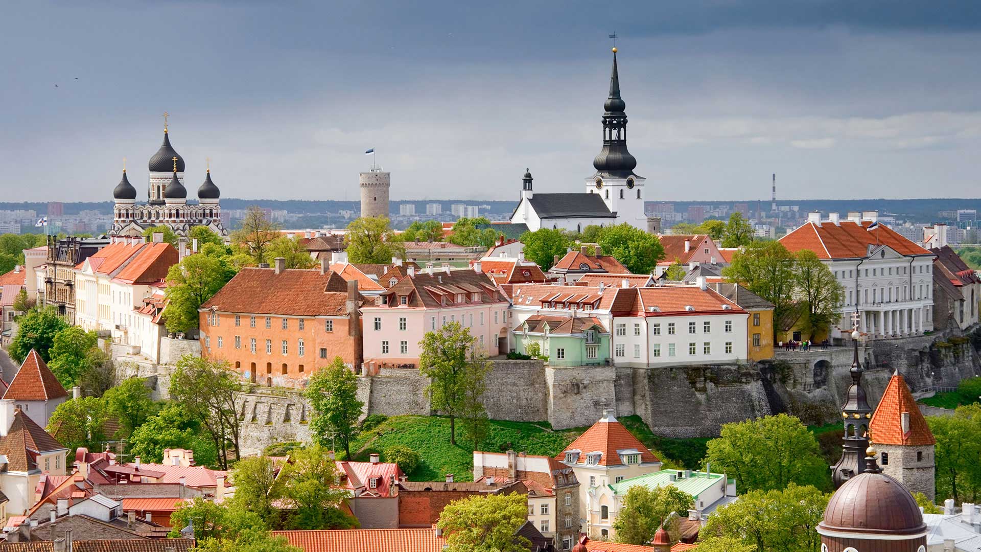 castle and hill in Tallinn city centre