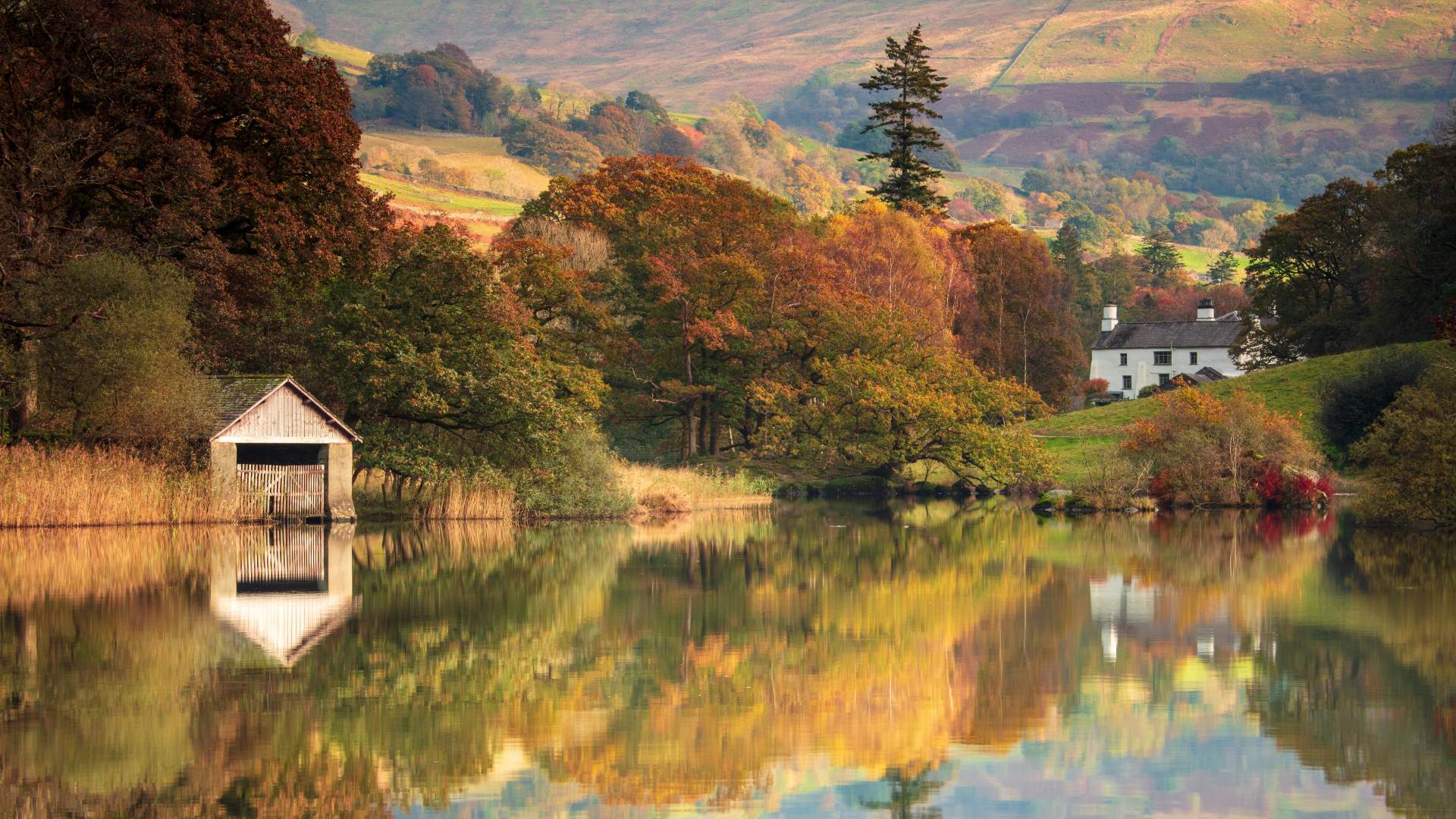 autumn in the Lake District with orange and green leaves