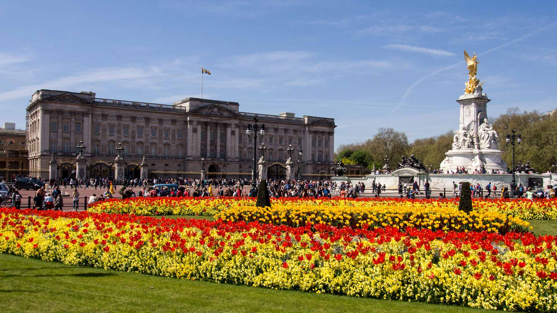 sun shining on Buckingham Palace in London with spring flowers